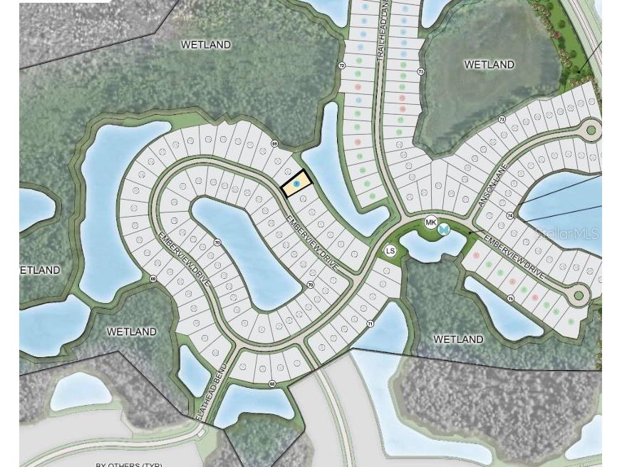 35154 Emberview Drive Zephyrhills FL 33541 TB8401445 image30