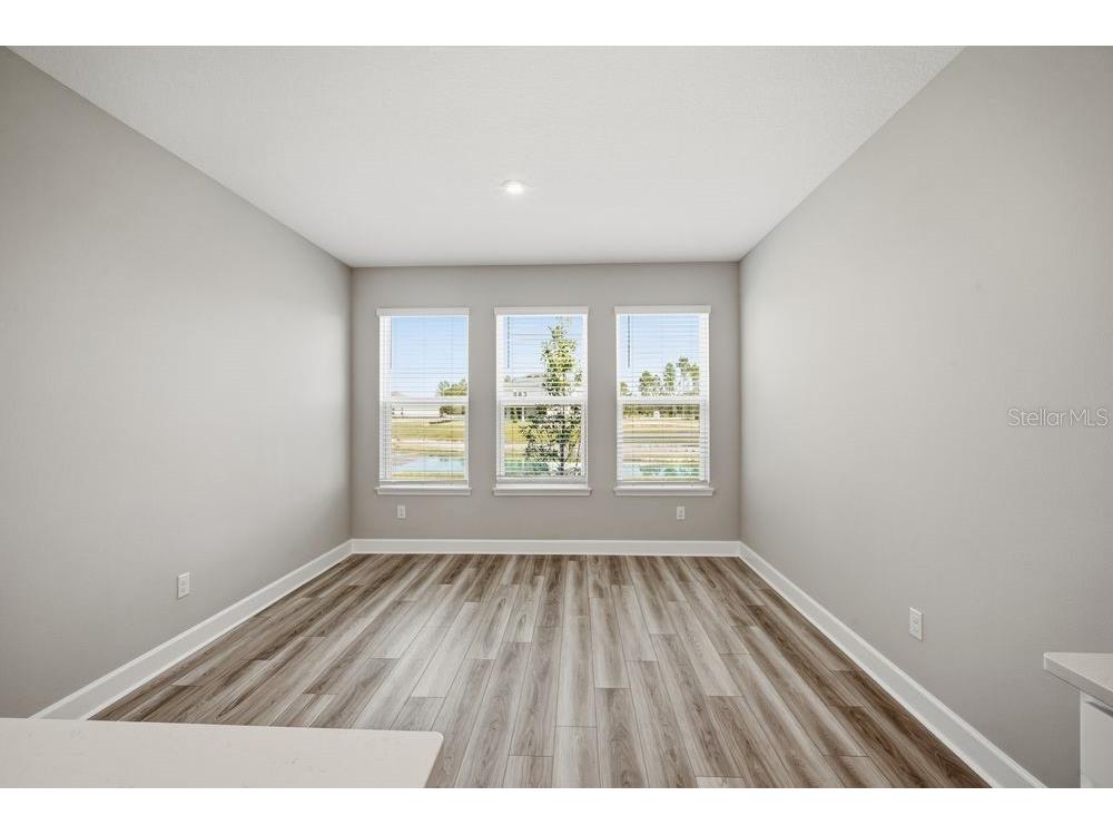 35154 Emberview Drive Zephyrhills FL 33541 TB8401445 image7