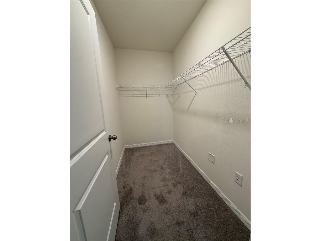 3516 Maple Grove Way Plant City FL 33565 TB8376562 image21