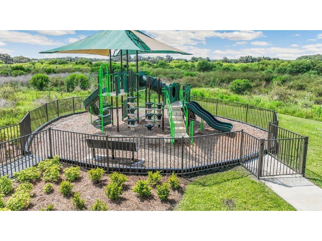 3516 Maple Grove Way Plant City FL 33565 TB8376562 image30