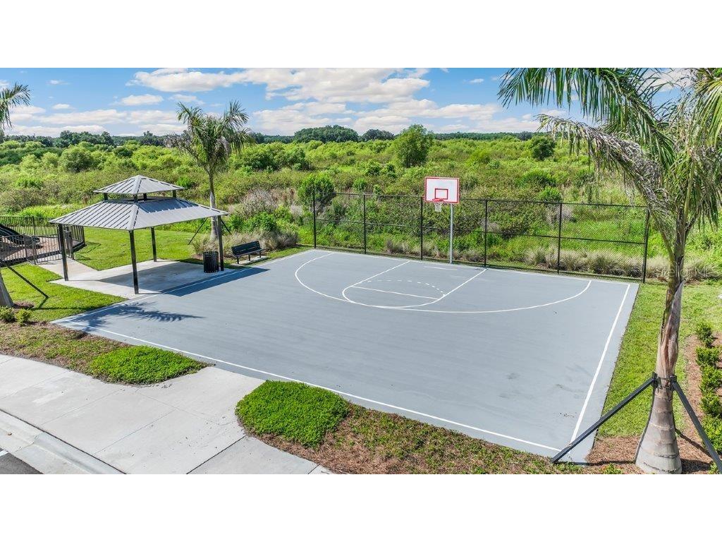 3516 Maple Grove Way Plant City FL 33565 TB8376562 image31