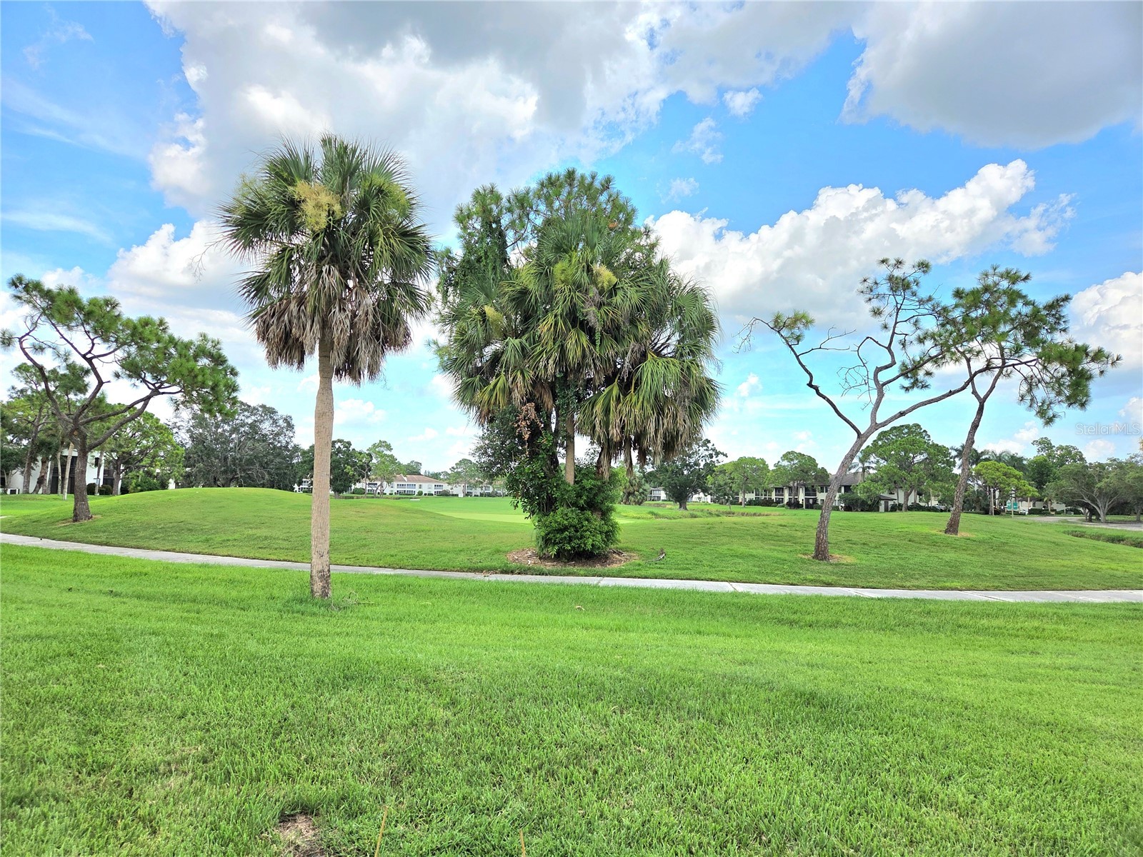 3516 Richwood #51 Sarasota FL 34235 A4660143 image3