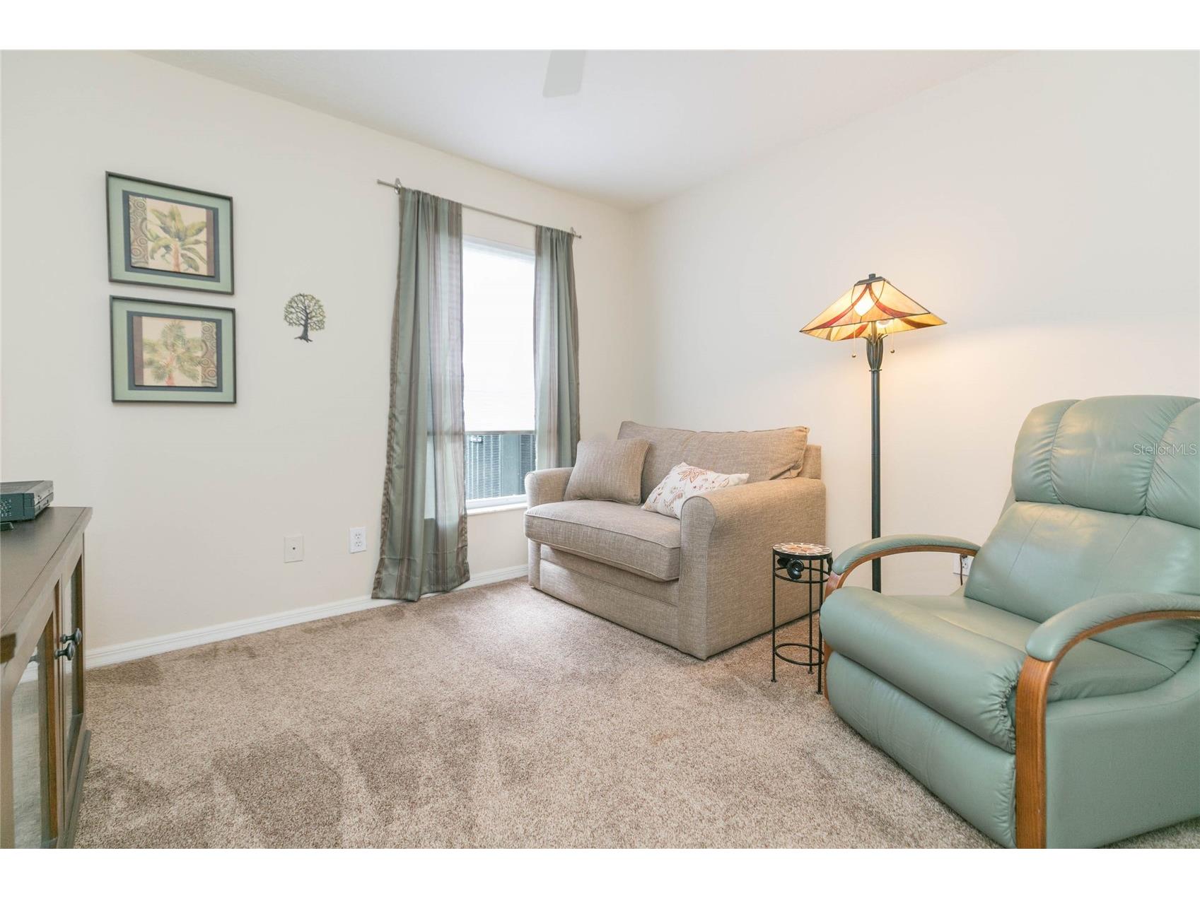 3516 Shadowood Drive Valrico FL 33596 TB8495707 image24
