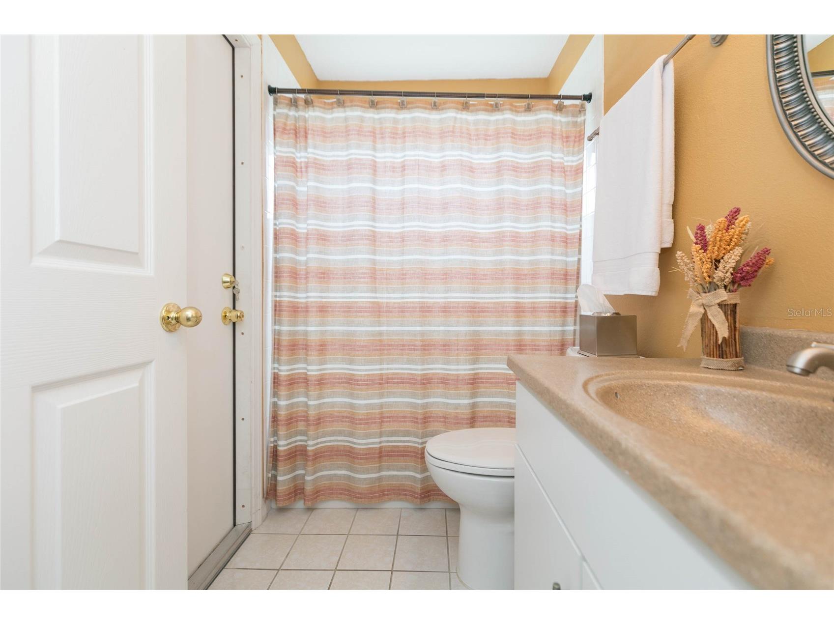 3516 Shadowood Drive Valrico FL 33596 TB8495707 image32