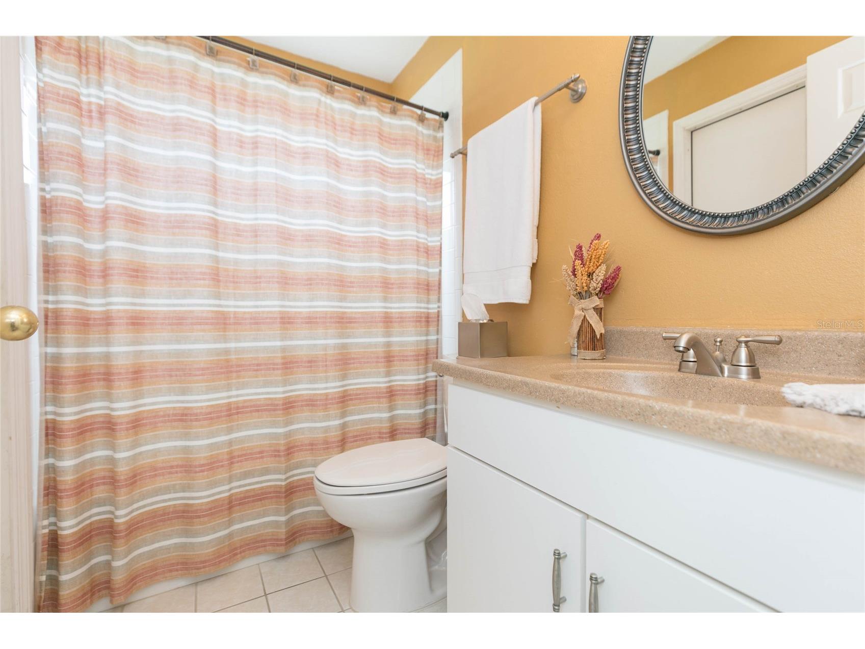 3516 Shadowood Drive Valrico FL 33596 TB8495707 image33