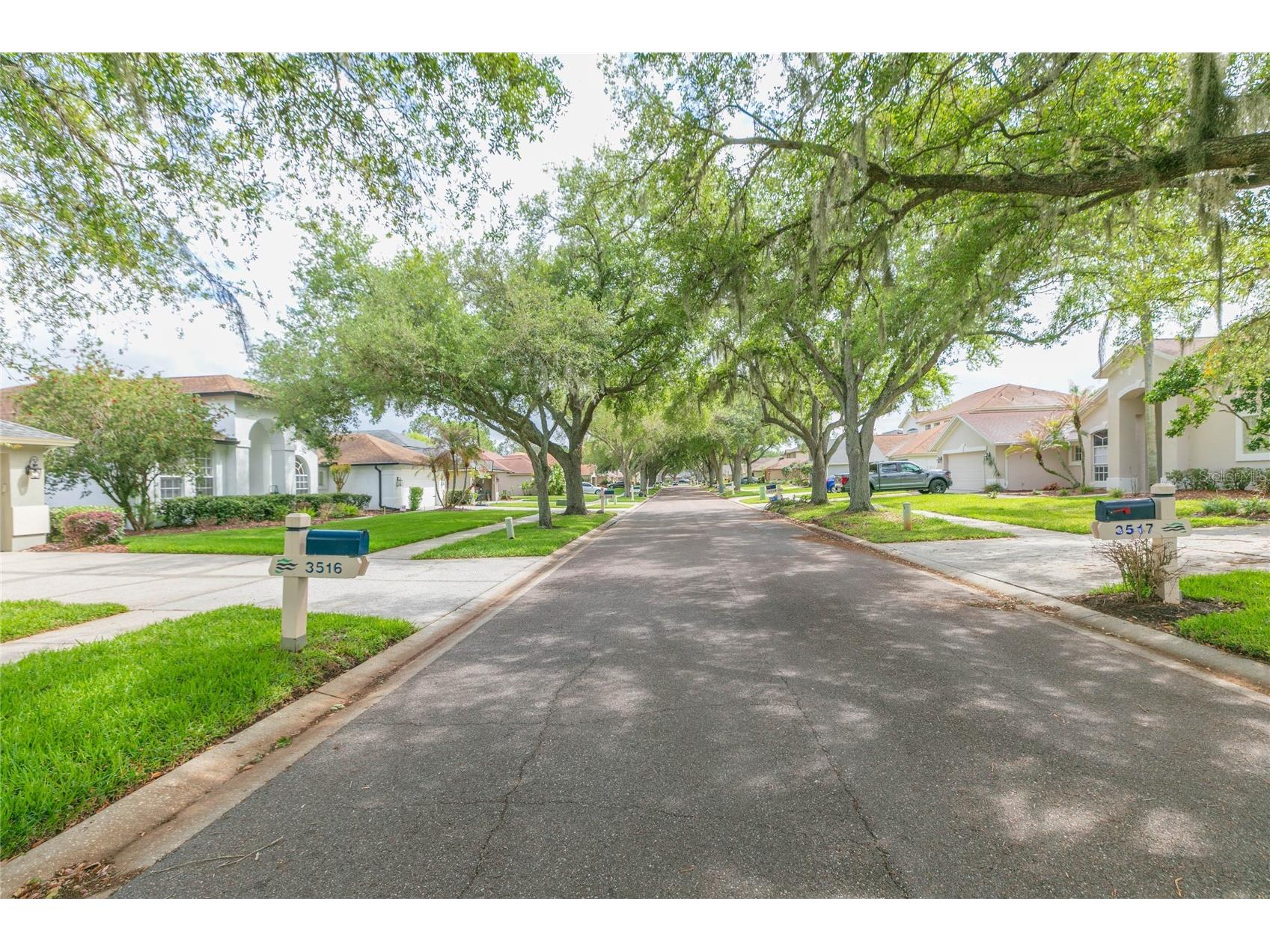 3516 Shadowood Drive Valrico FL 33596 TB8495707 image39