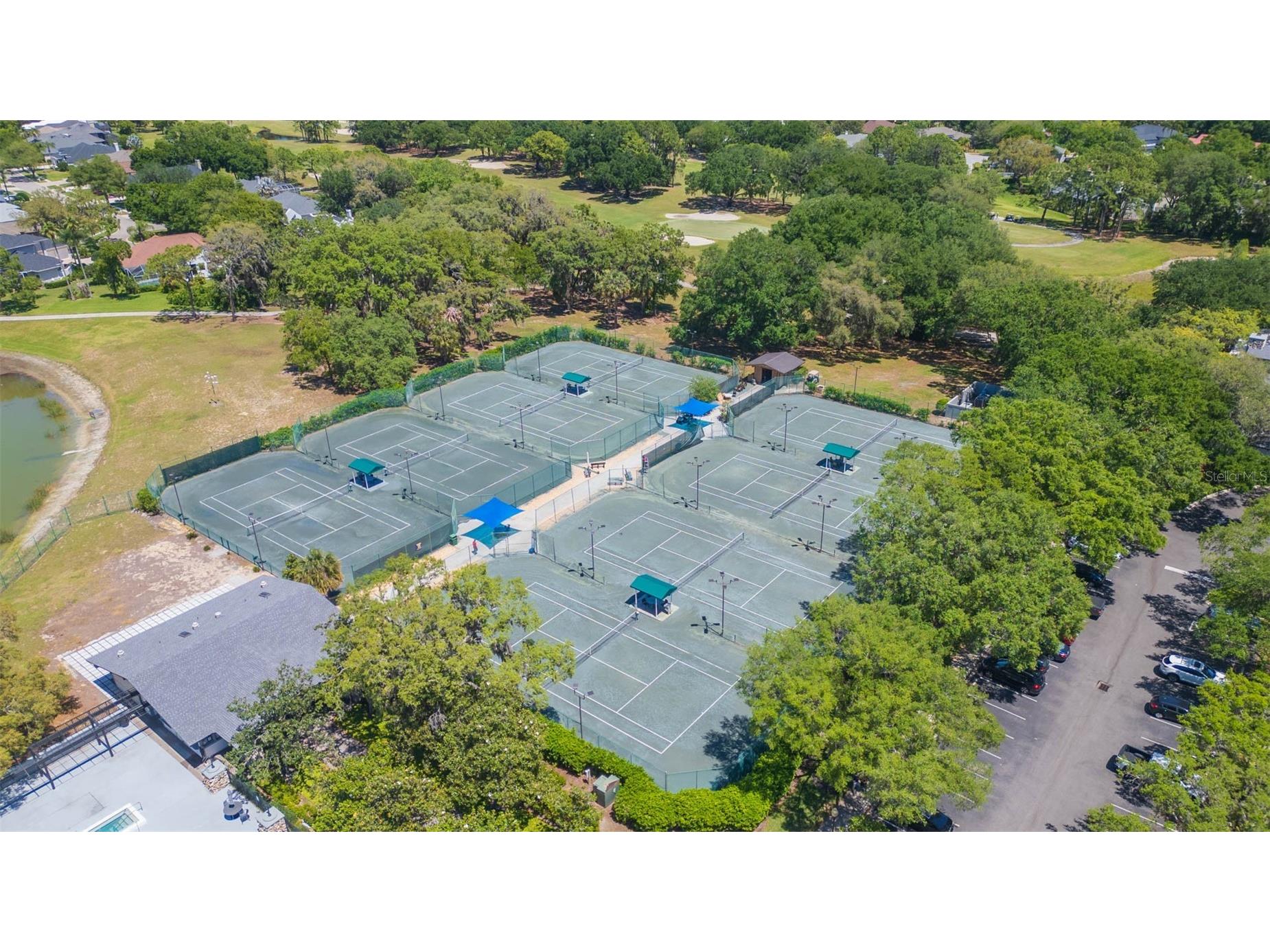 3516 Shadowood Drive Valrico FL 33596 TB8495707 image47
