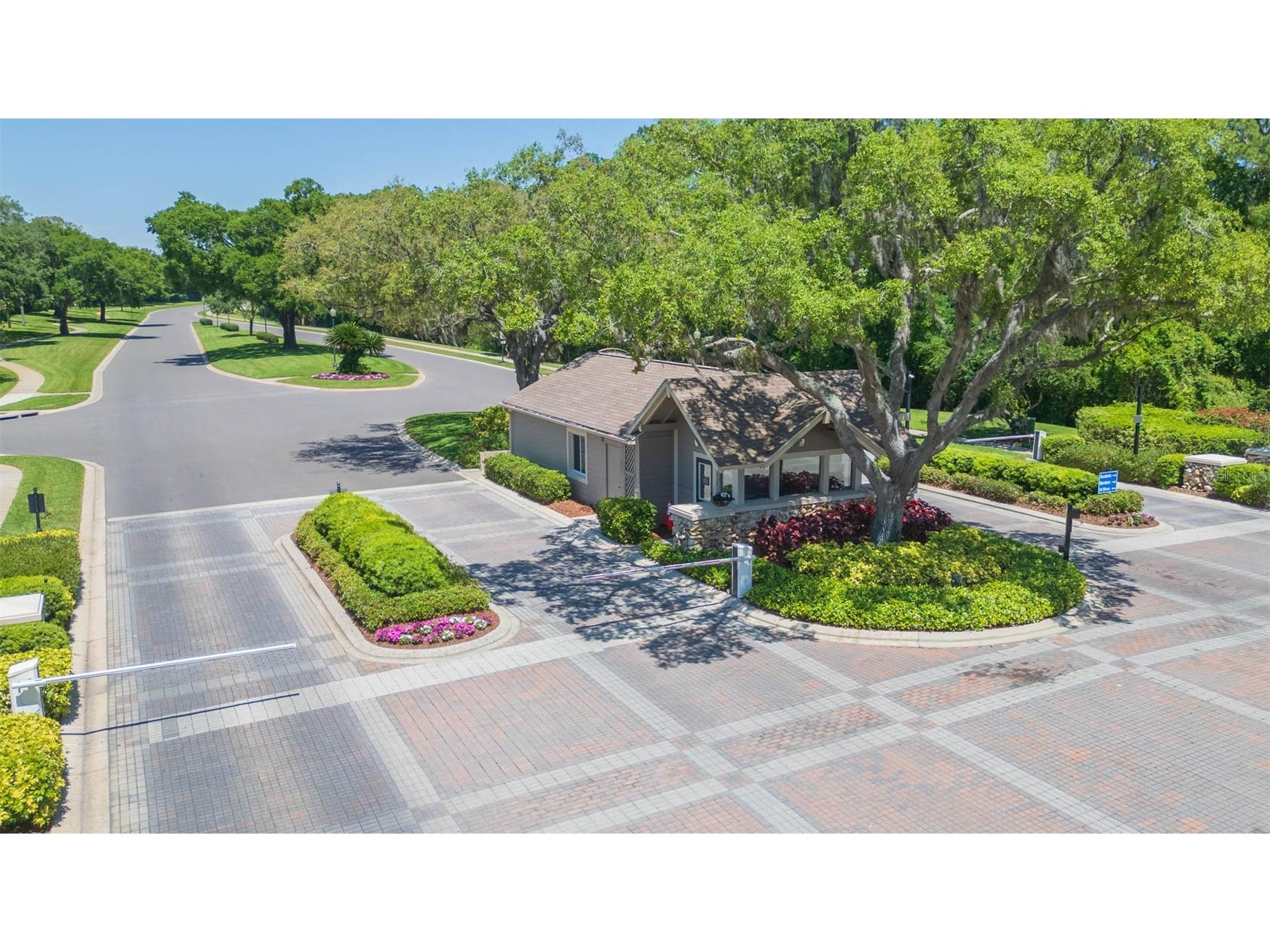 3516 Shadowood Drive Valrico FL 33596 TB8495707 image51