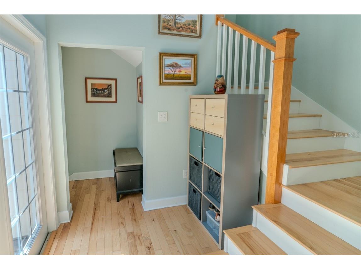 3516 W Santiago Street Tampa FL 33629 TB8397928 image13