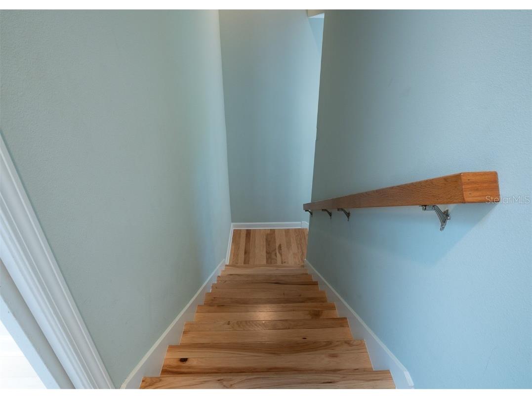 3516 W Santiago Street Tampa FL 33629 TB8397928 image20