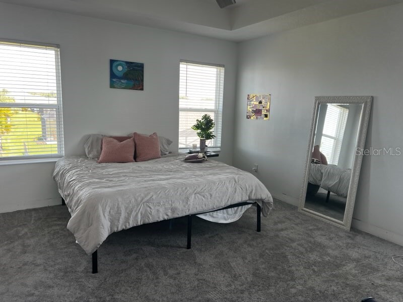3516 Woodmont Drive Parrish FL 34219 A4690853 image4