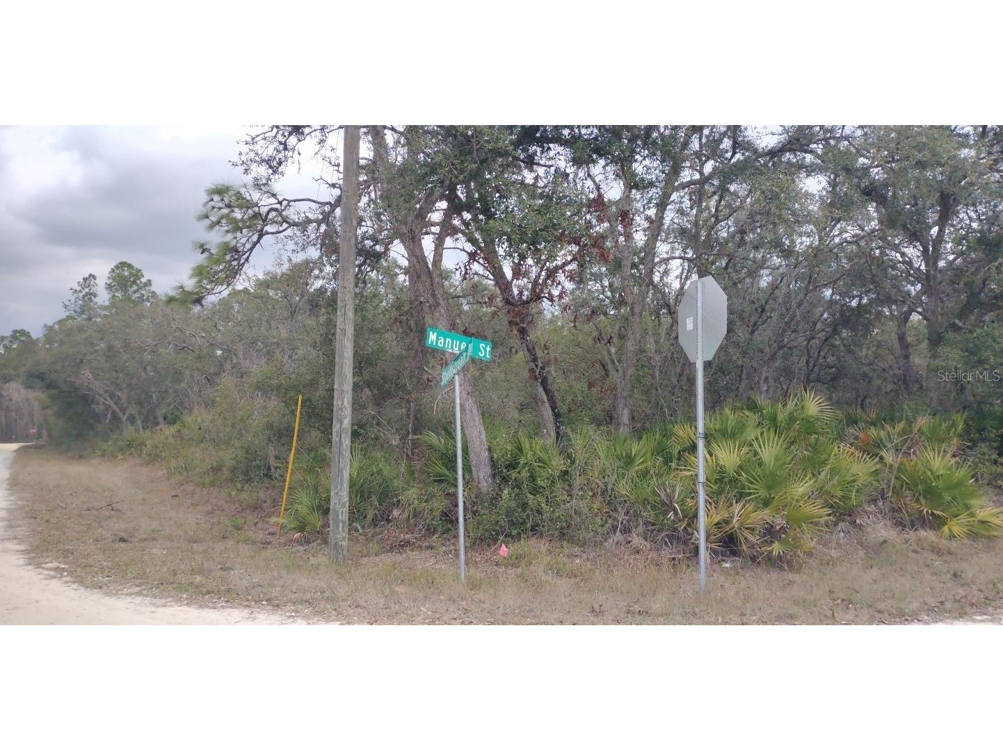 35161 Manuel Street Webster FL 33597 TB8352754 image1