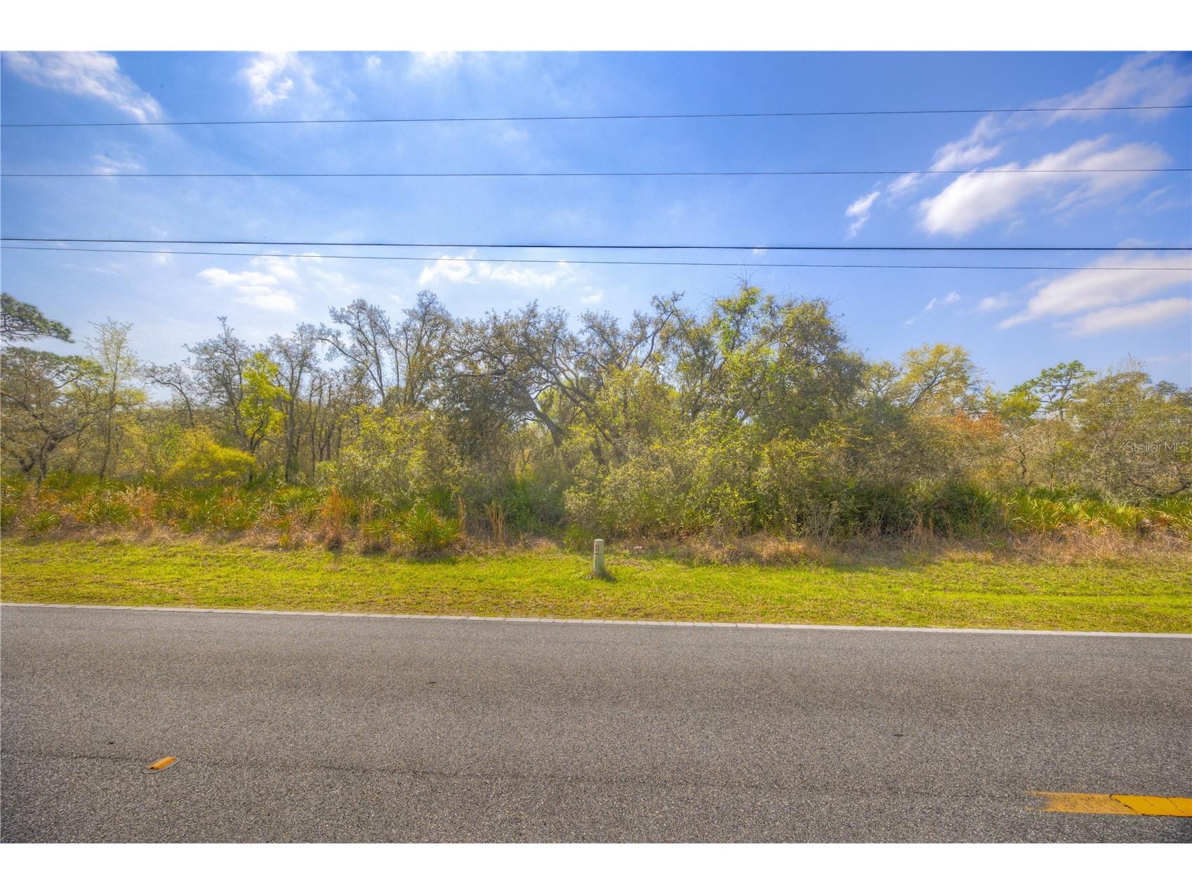 35166 Cornerstone Drive Webster FL 33597 TB8513873 image1