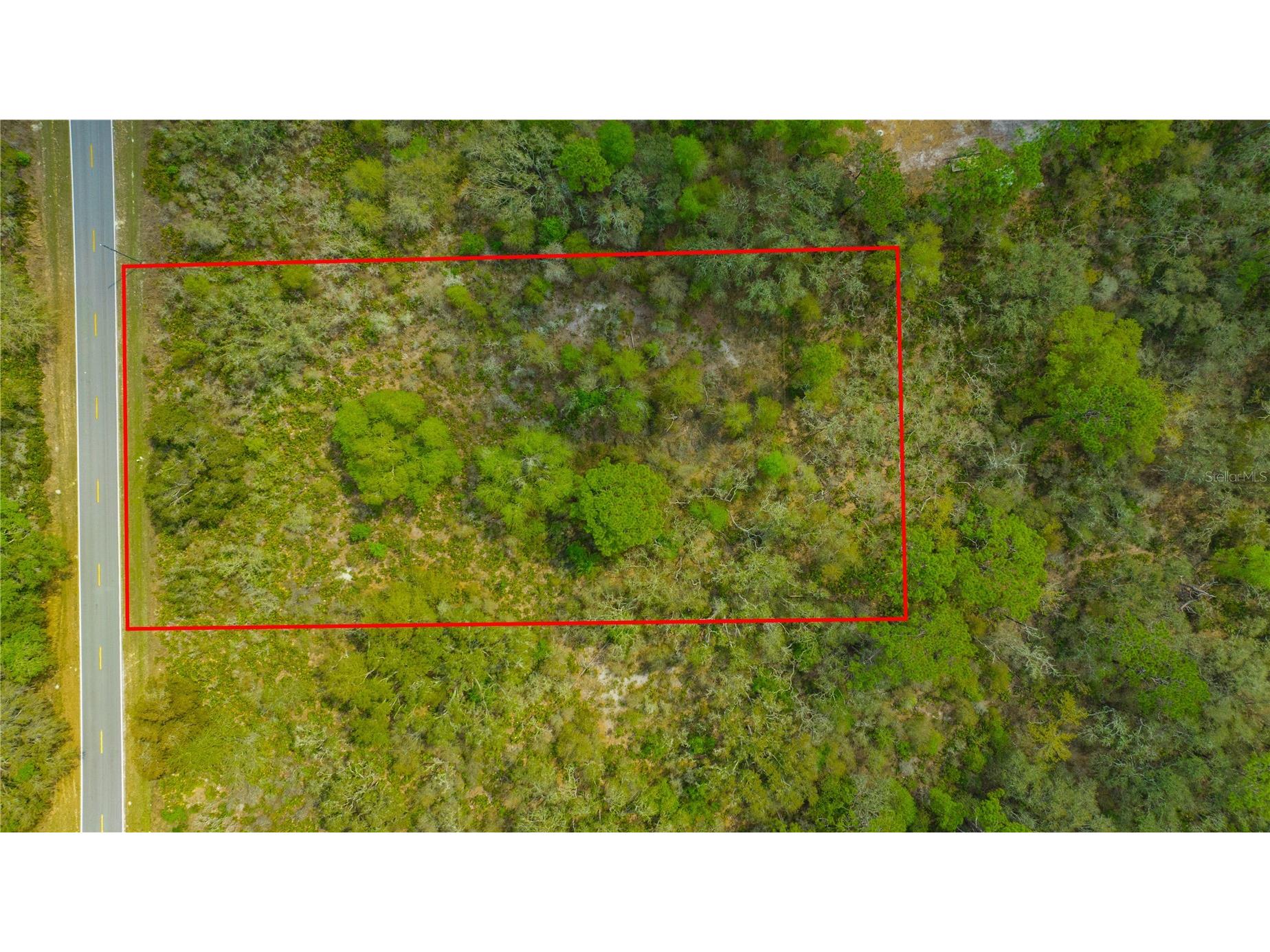 35166 Cornerstone Drive Webster FL 33597 TB8513873 image12