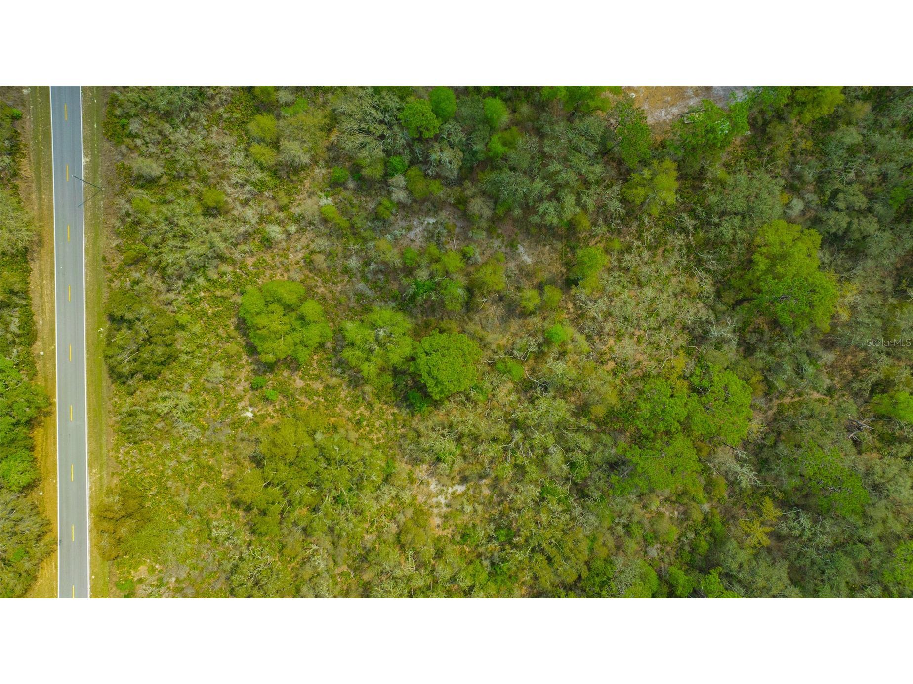 35166 Cornerstone Drive Webster FL 33597 TB8513873 image13
