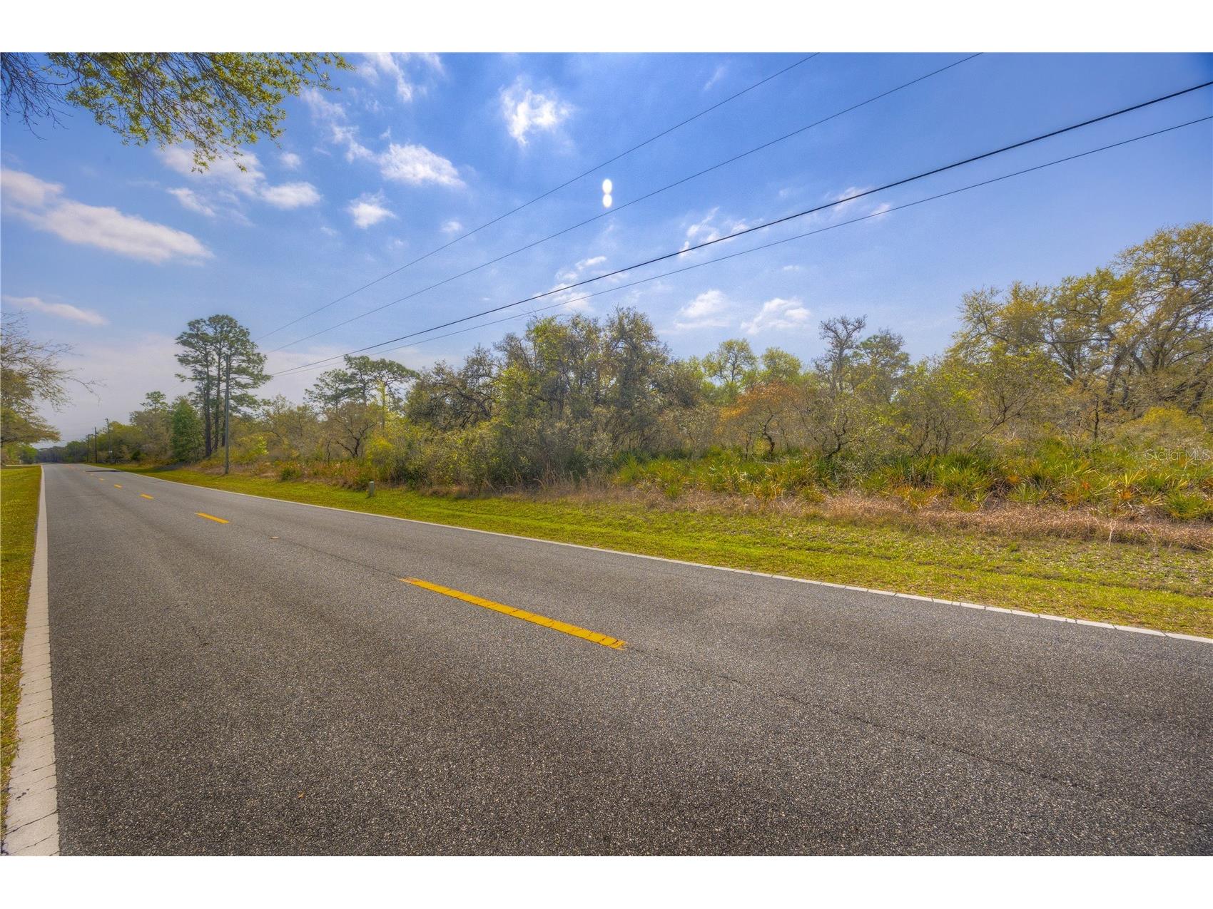 35166 Cornerstone Drive Webster FL 33597 TB8513873 image4