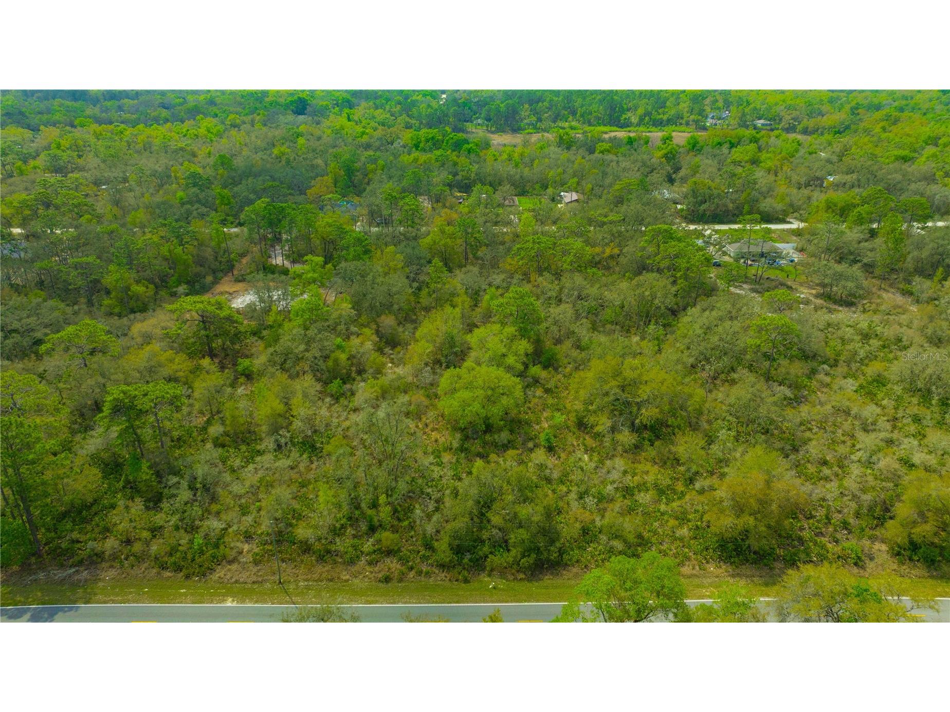 35166 Cornerstone Drive Webster FL 33597 TB8513873 image7