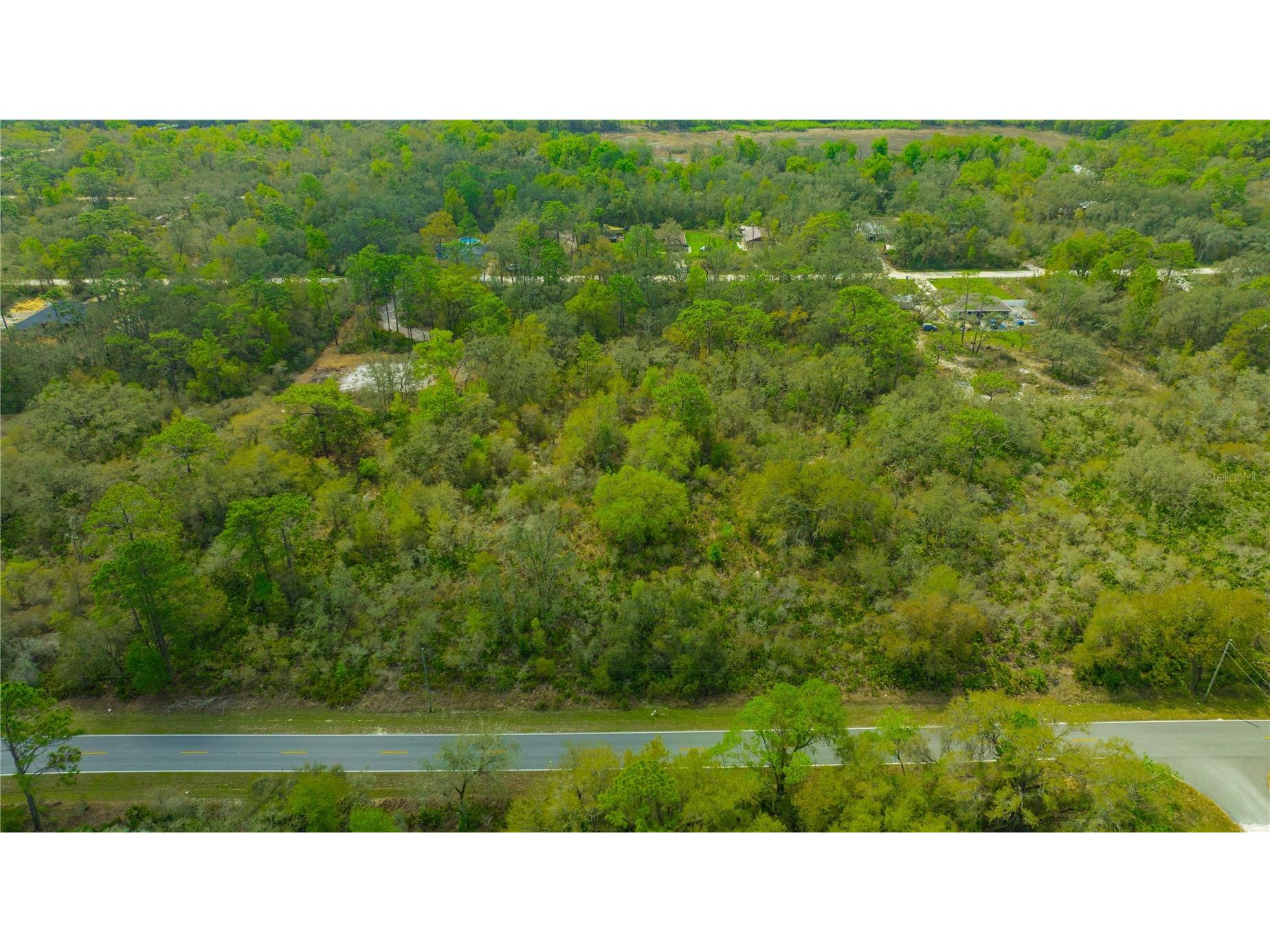 35166 Cornerstone Drive Webster FL 33597 TB8513873 image9