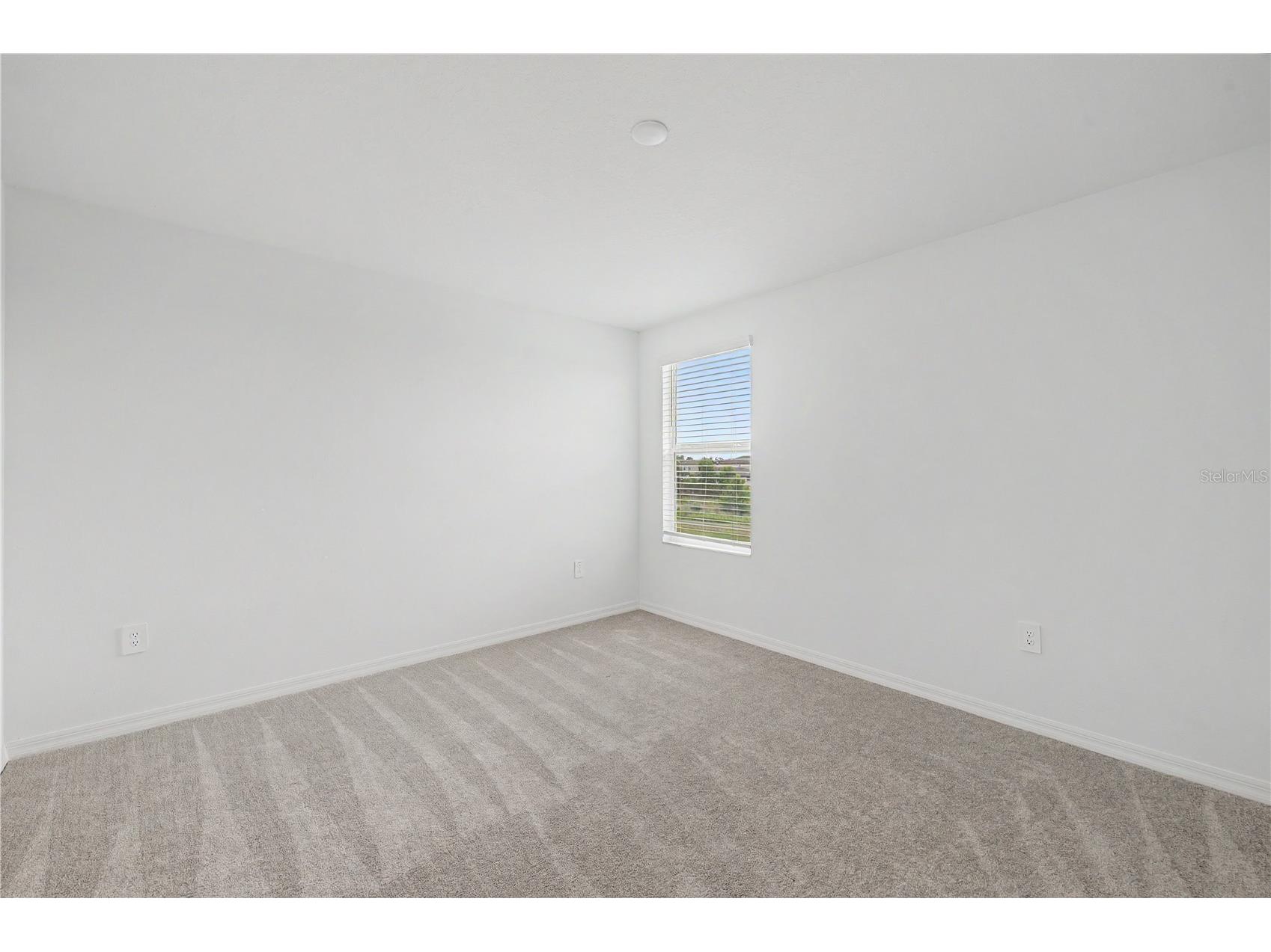 3517 Great Park Court Plant City FL 33565 TB8525598 image34
