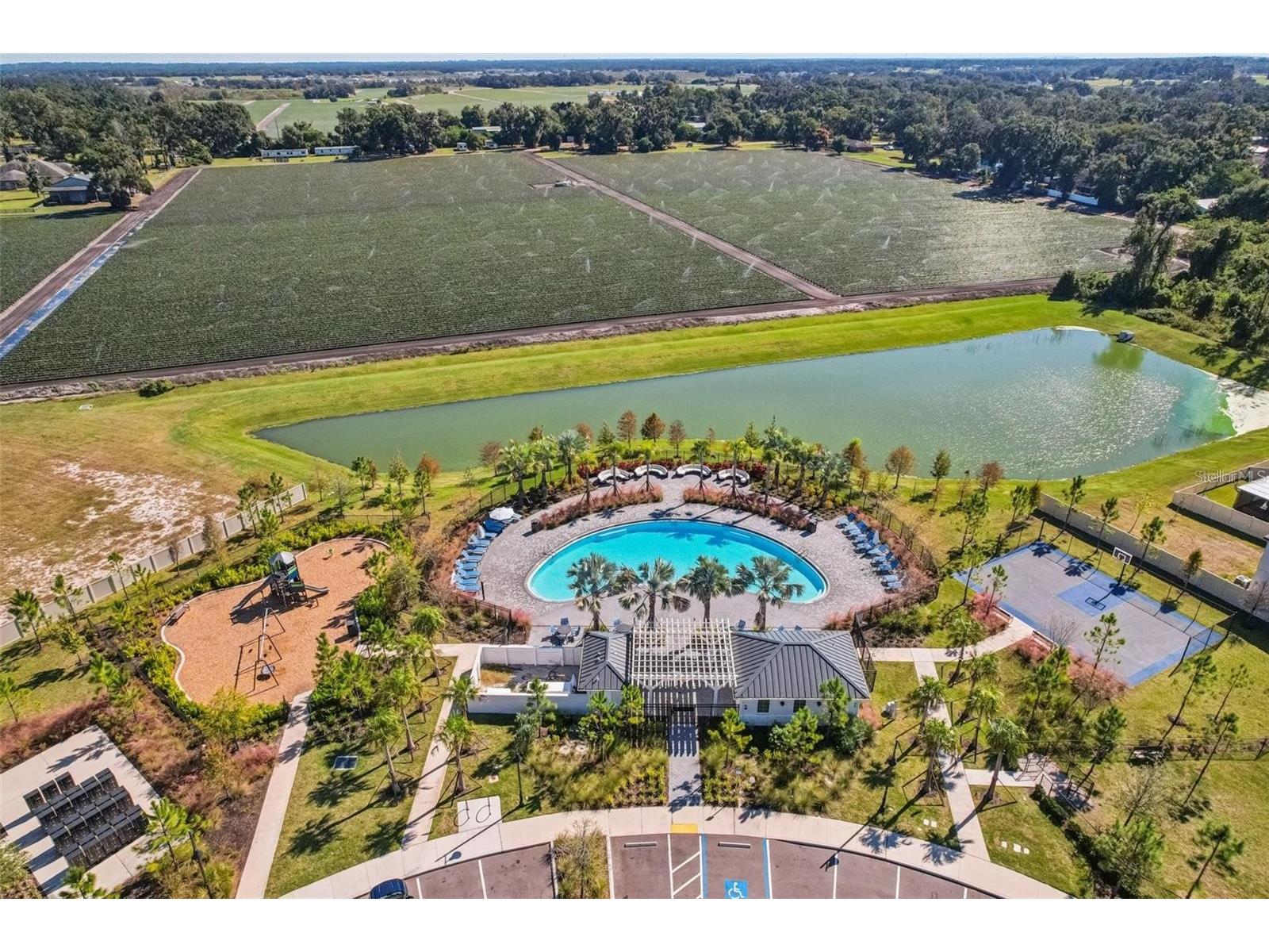 3517 Great Park Court Plant City FL 33565 TB8525598 image54
