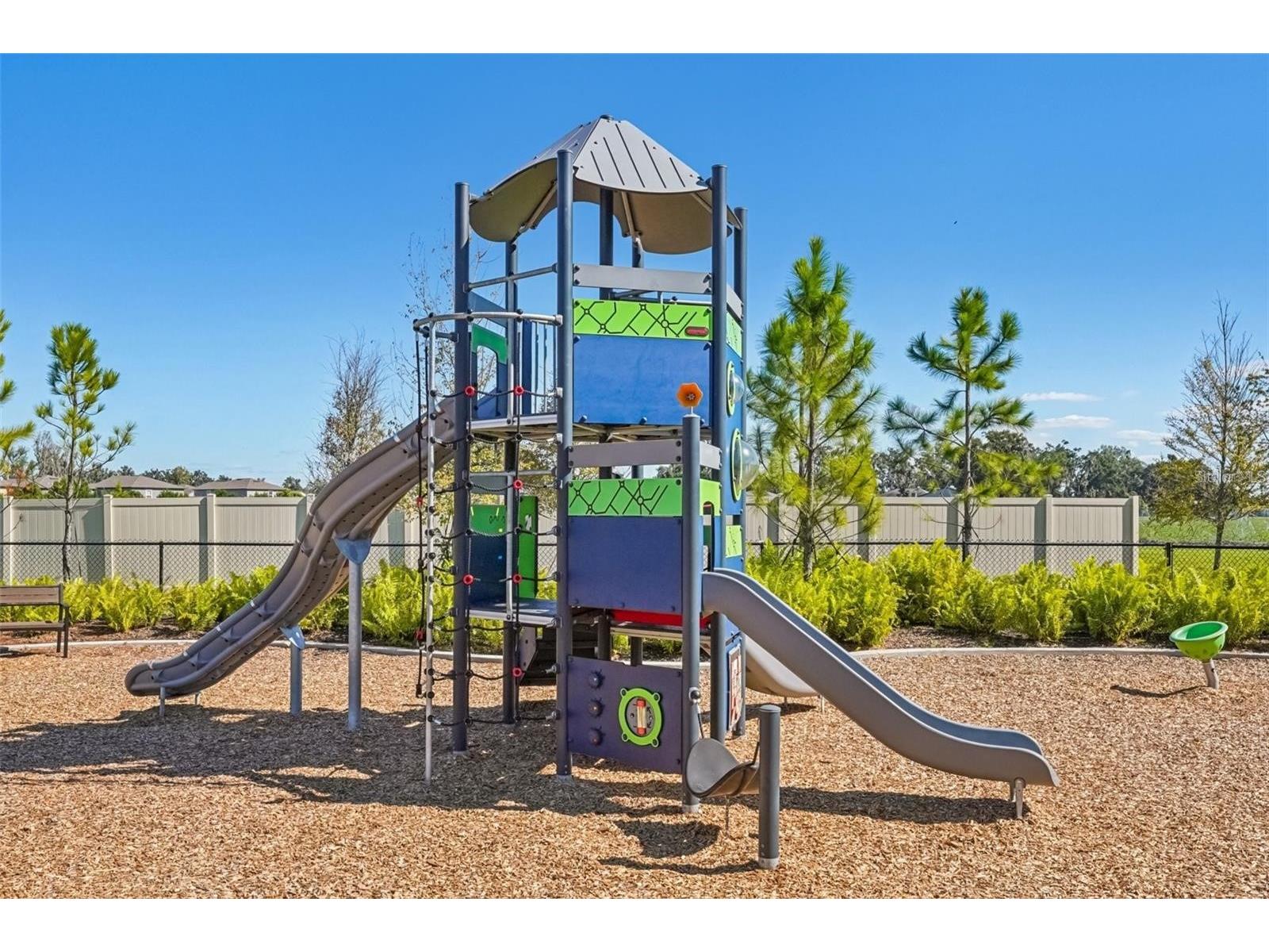 3517 Great Park Court Plant City FL 33565 TB8525598 image59