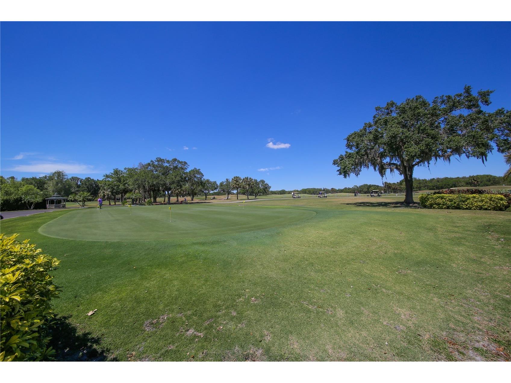 3517 Little Country Road Parrish FL 34219 - MANATEE RIVER A4690505 image76
