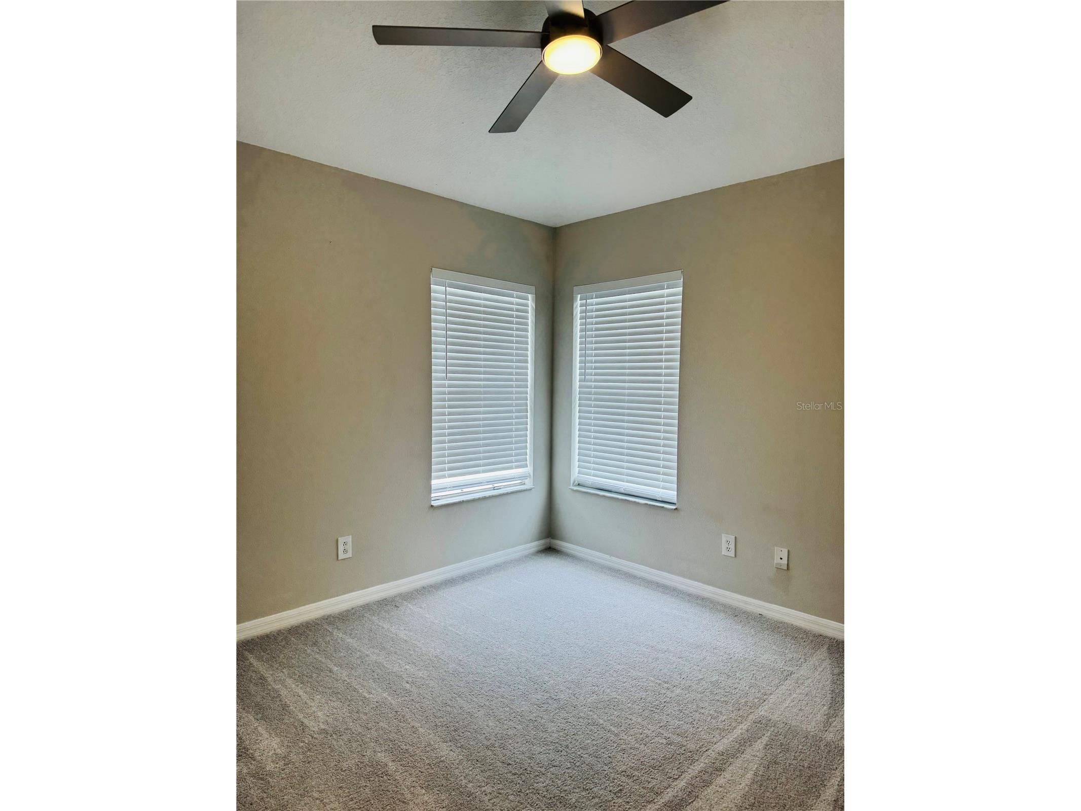 3517 Trapnell Ridge Drive Plant City FL 33567 TB8512611 image13