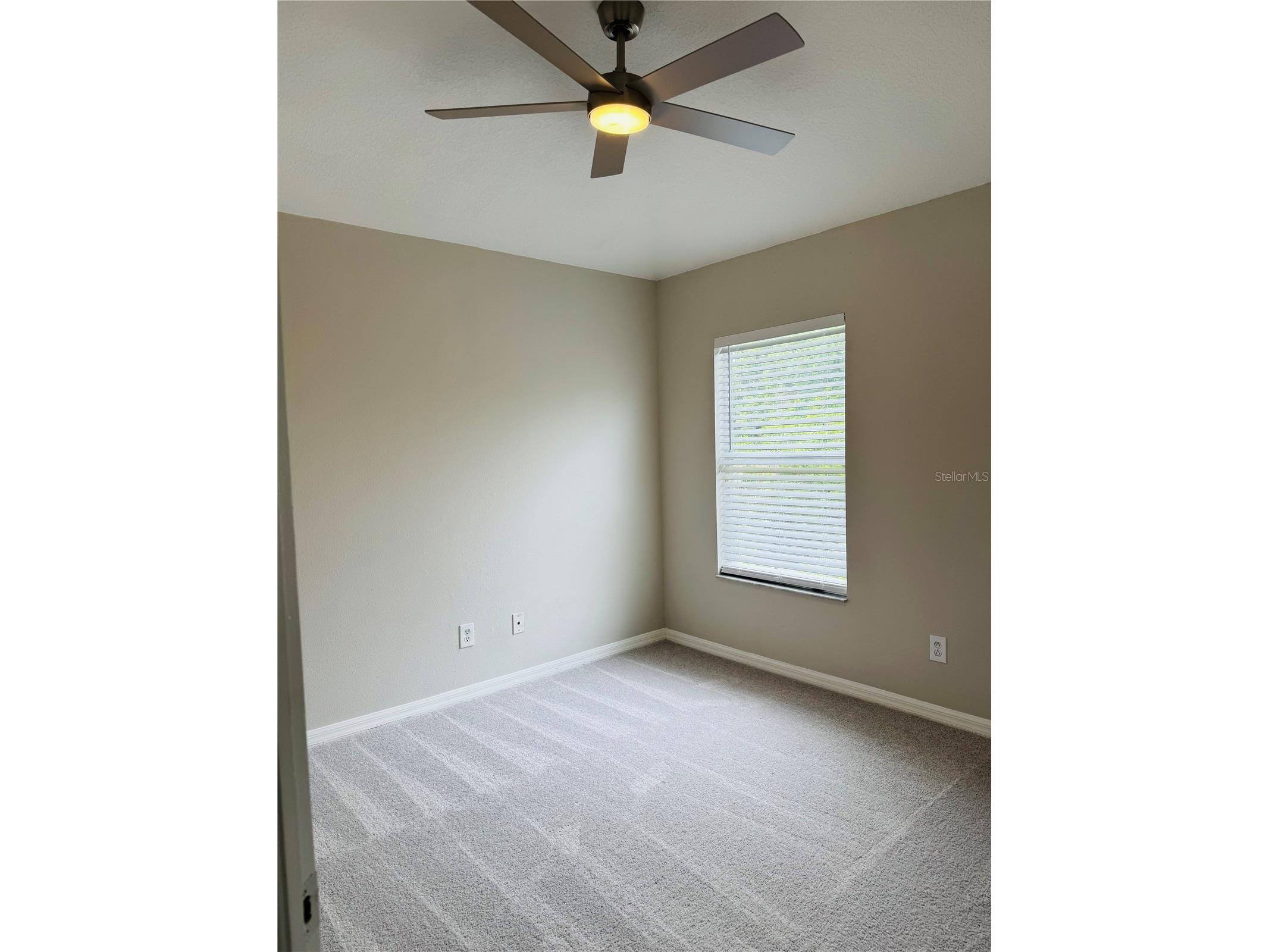 3517 Trapnell Ridge Drive Plant City FL 33567 TB8512611 image14