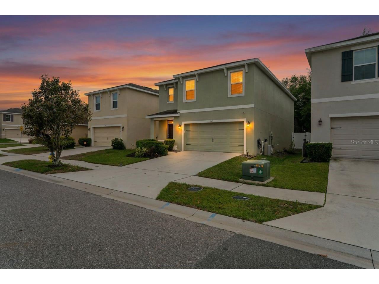 3517 Winterberry Lane Valrico FL 33594 W7884774 image1