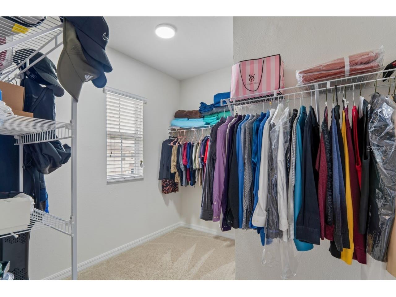 3517 Winterberry Lane Valrico FL 33594 W7884774 image24
