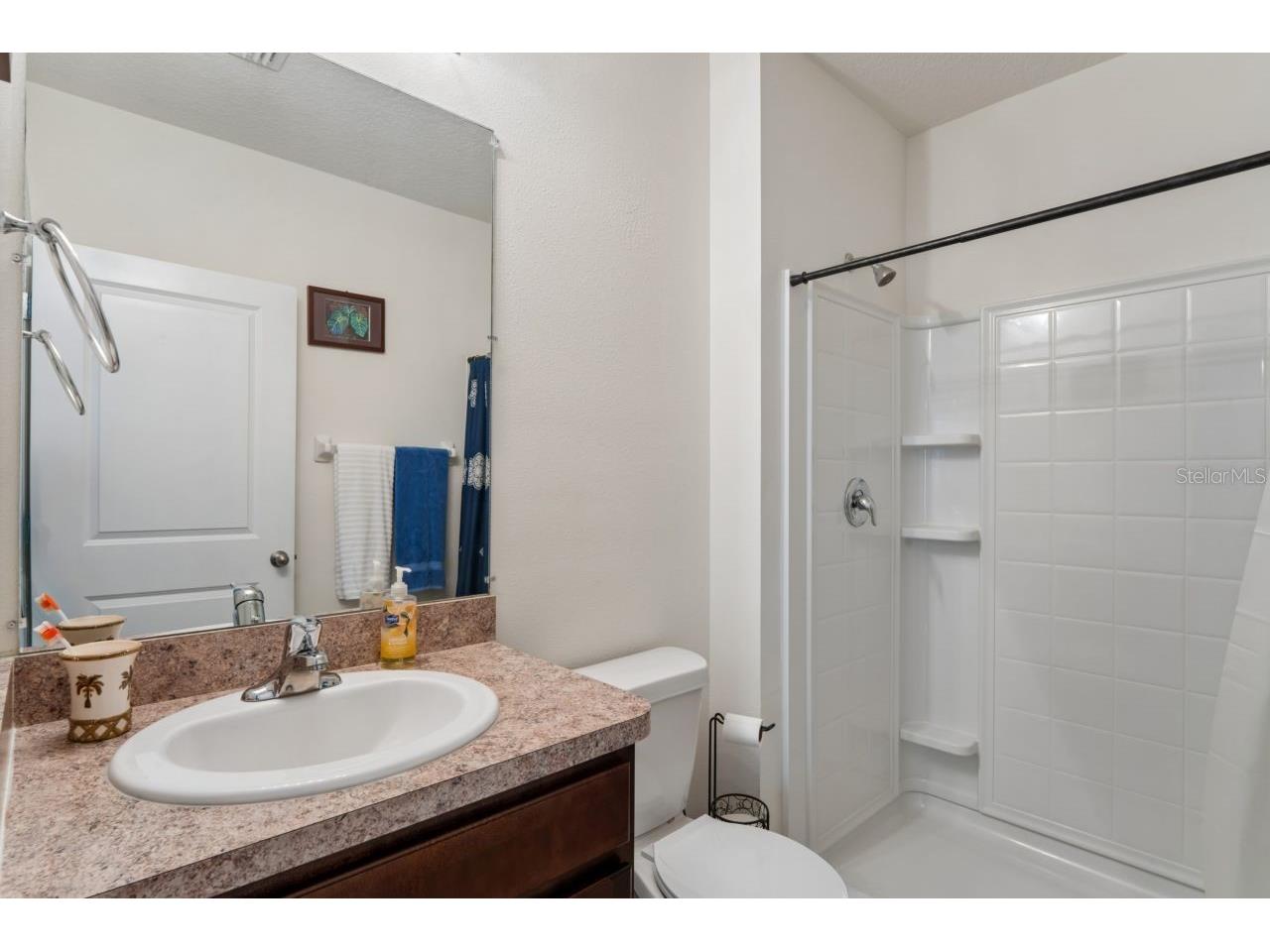 3517 Winterberry Lane Valrico FL 33594 W7884774 image30