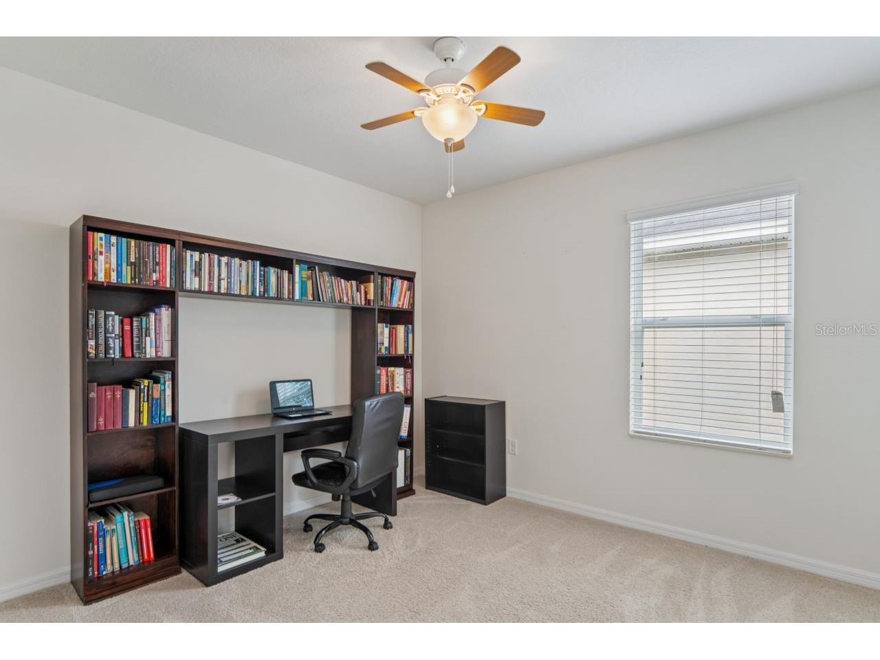 3517 Winterberry Lane Valrico FL 33594 W7884774 image44