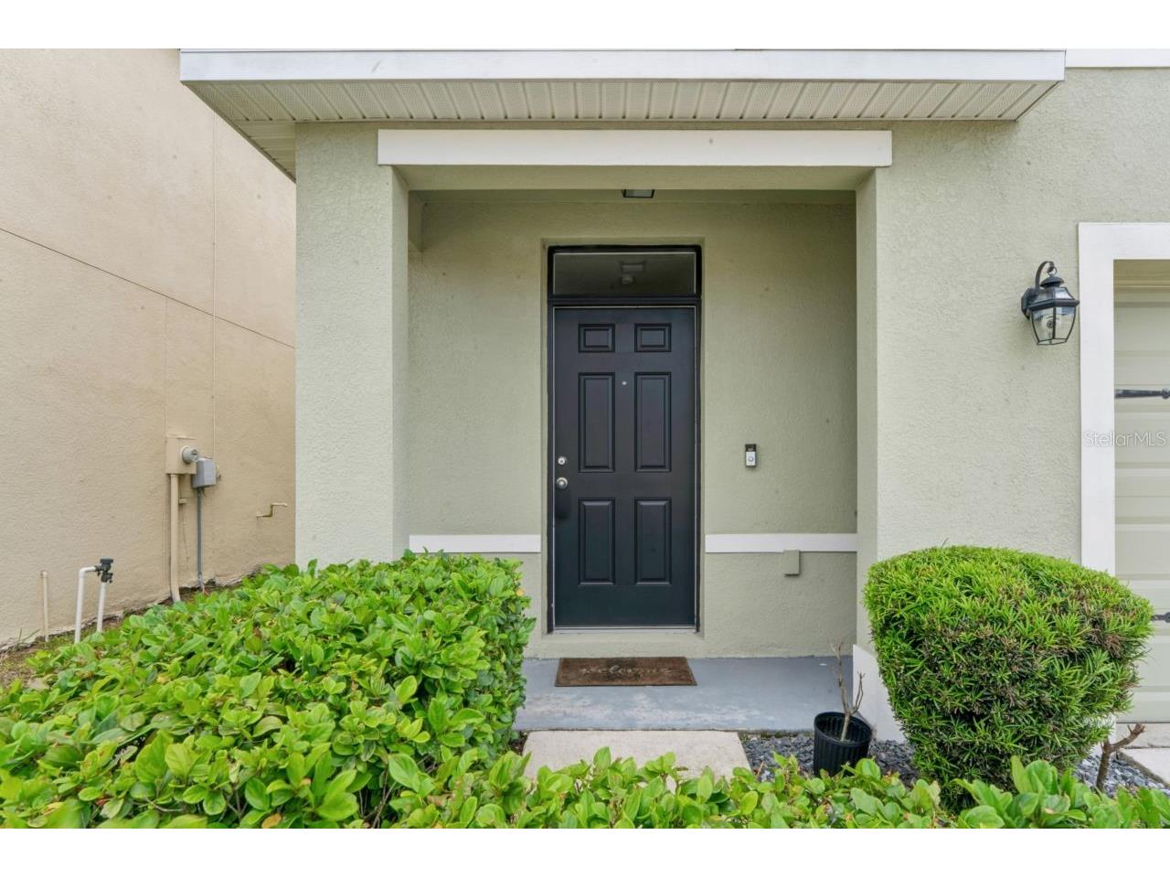 3517 Winterberry Lane Valrico FL 33594 W7884774 image5