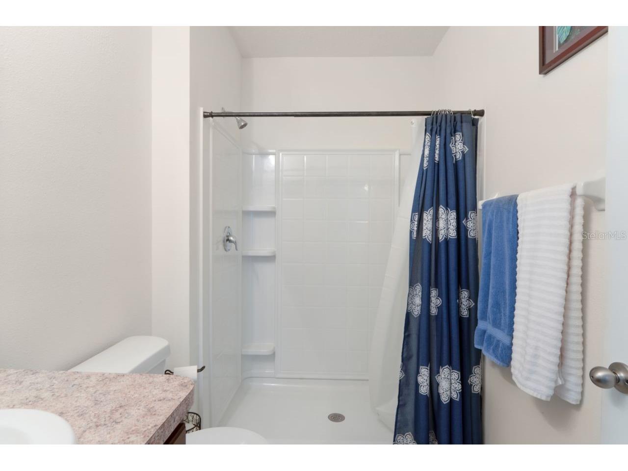 3517 Winterberry Lane Valrico FL 33594 W7884774 image53