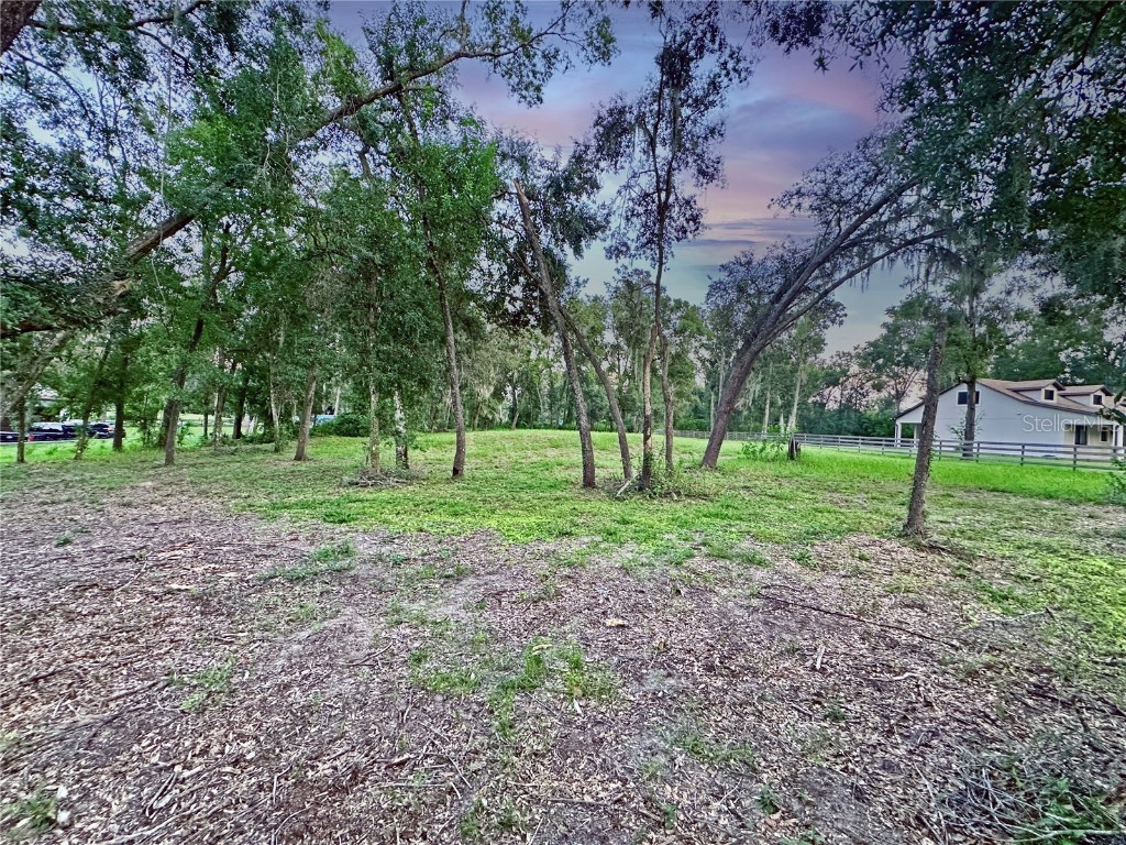 35174 Roth Lane Dade City FL 33525 TB8422970 image11