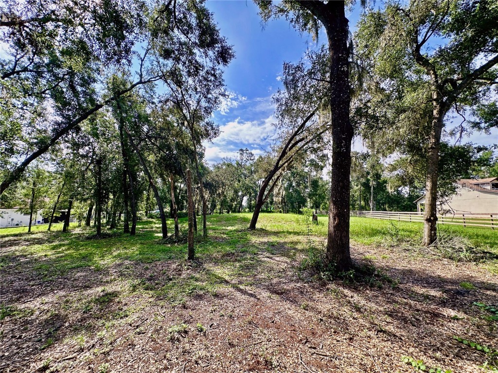 35174 Roth Lane Dade City FL 33525 TB8422970 image18