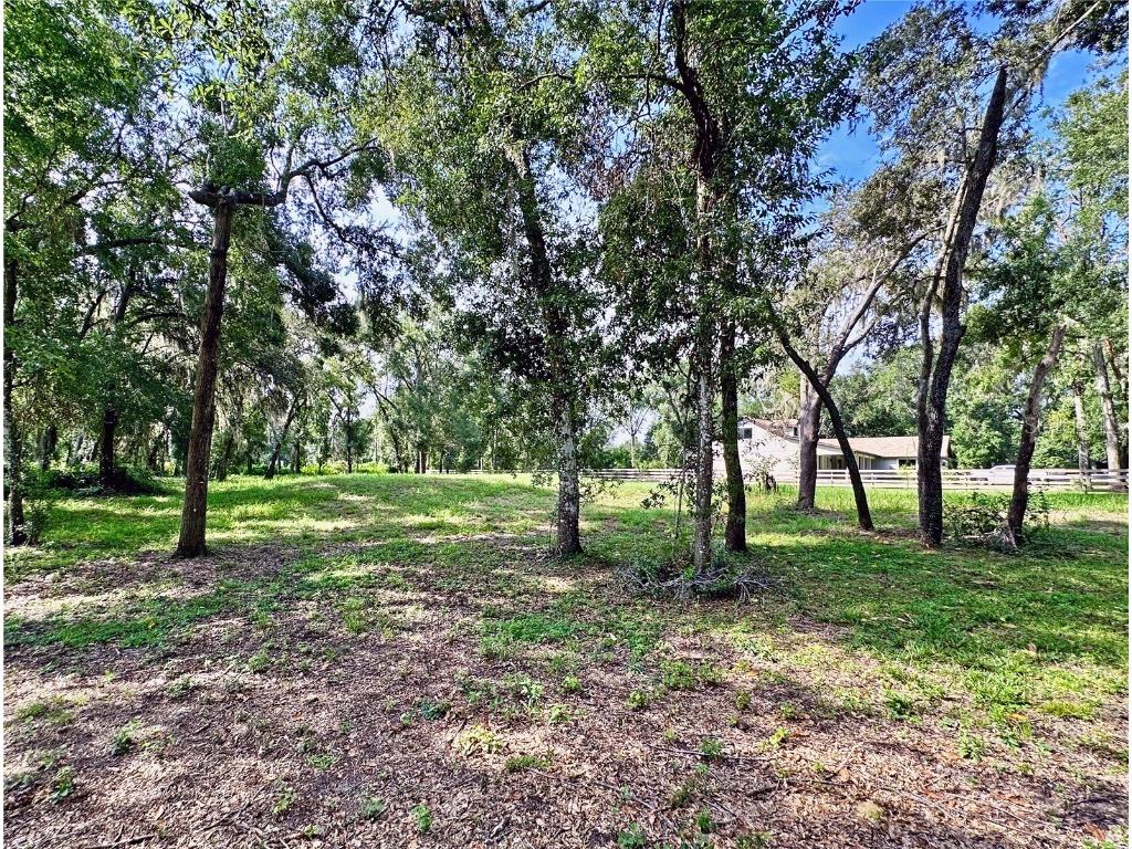 35174 Roth Lane Dade City FL 33525 TB8422970 image19