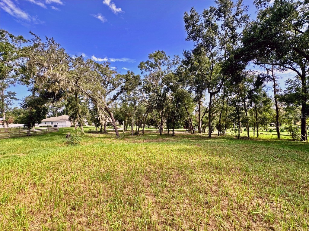 35174 Roth Lane Dade City FL 33525 TB8422970 image2