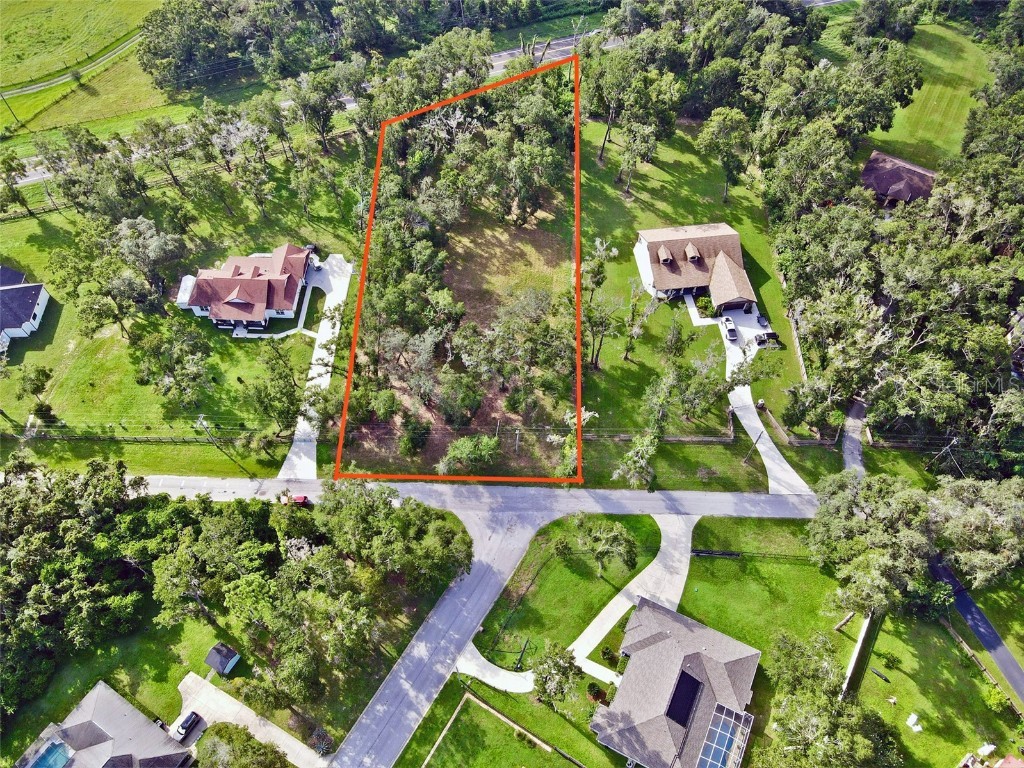 35174 Roth Lane Dade City FL 33525 TB8422970 image3