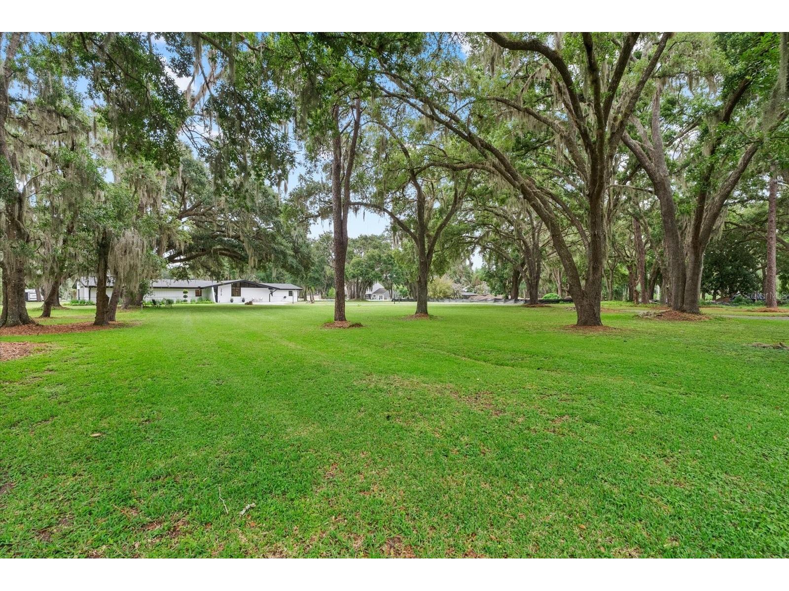 3518 Berger Road Lutz FL 33548 TB8512090 image35