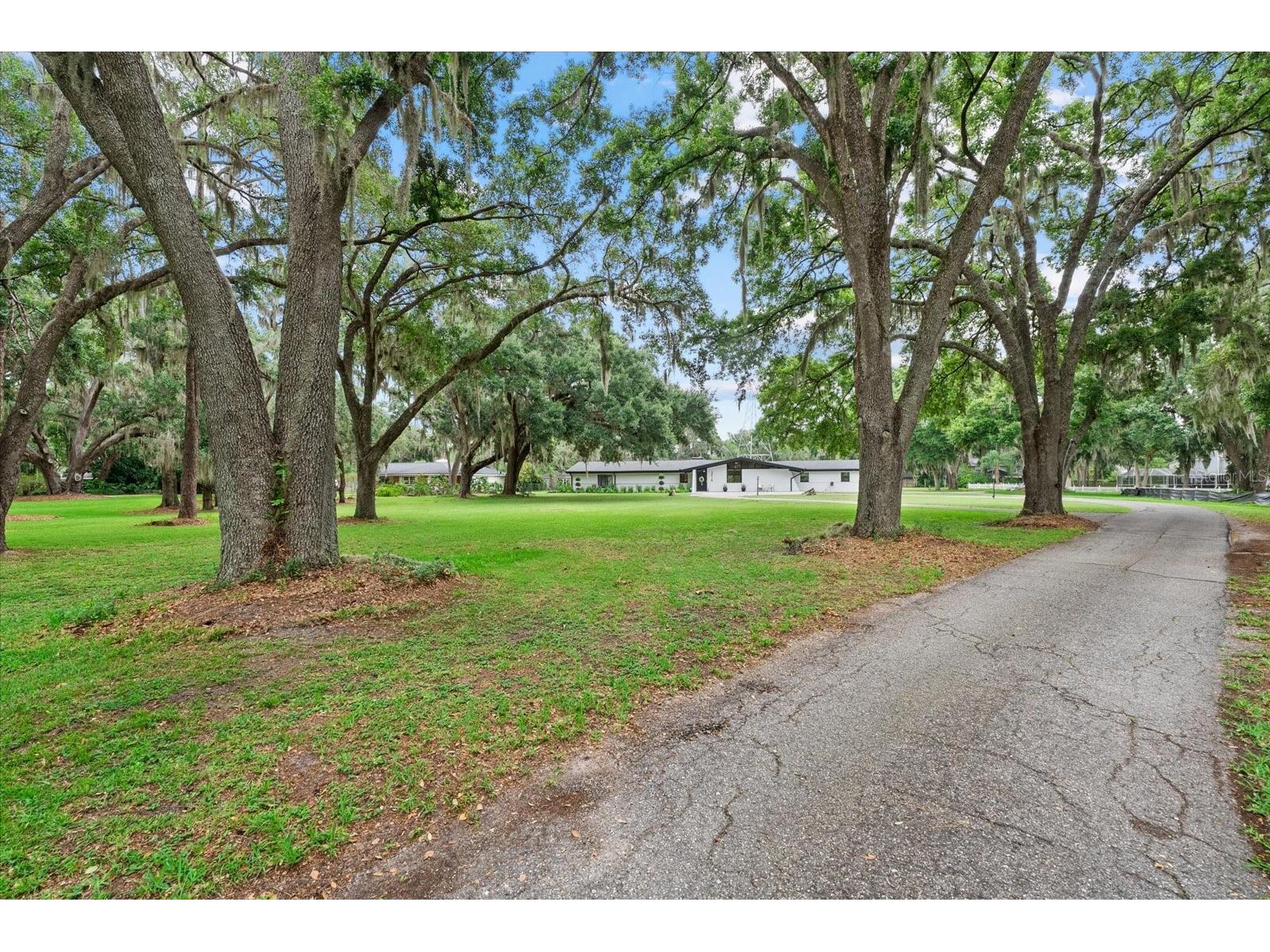 3518 Berger Road Lutz FL 33548 TB8512090 image36