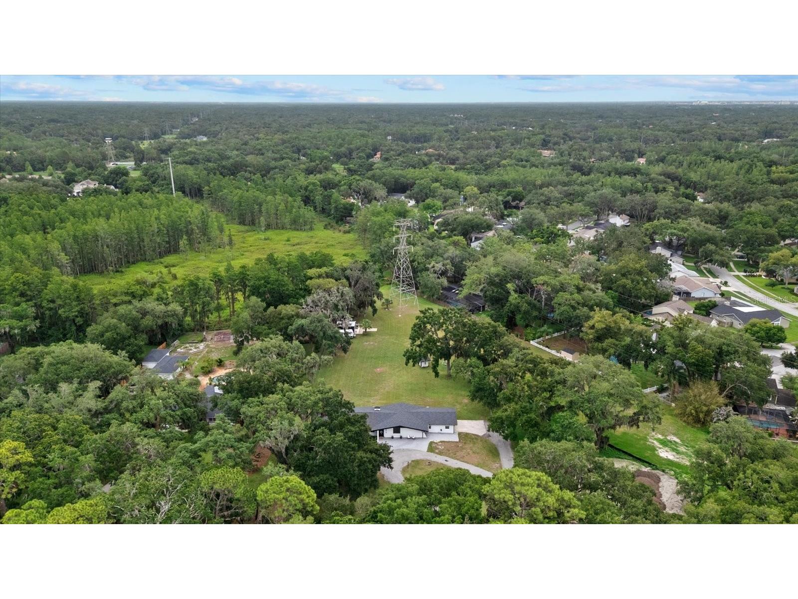 3518 Berger Road Lutz FL 33548 TB8512090 image5