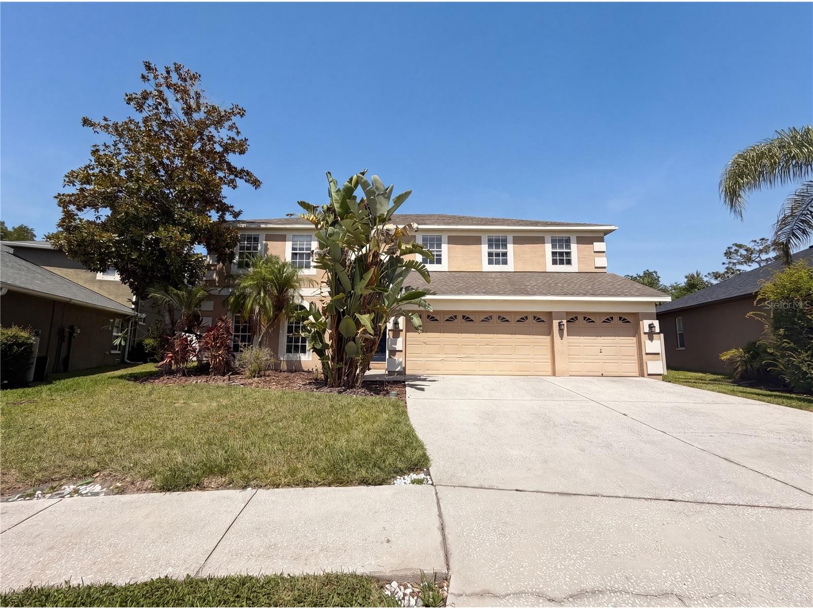 3518 Braemar Street Land O Lakes FL 34638 TB8517827 image1