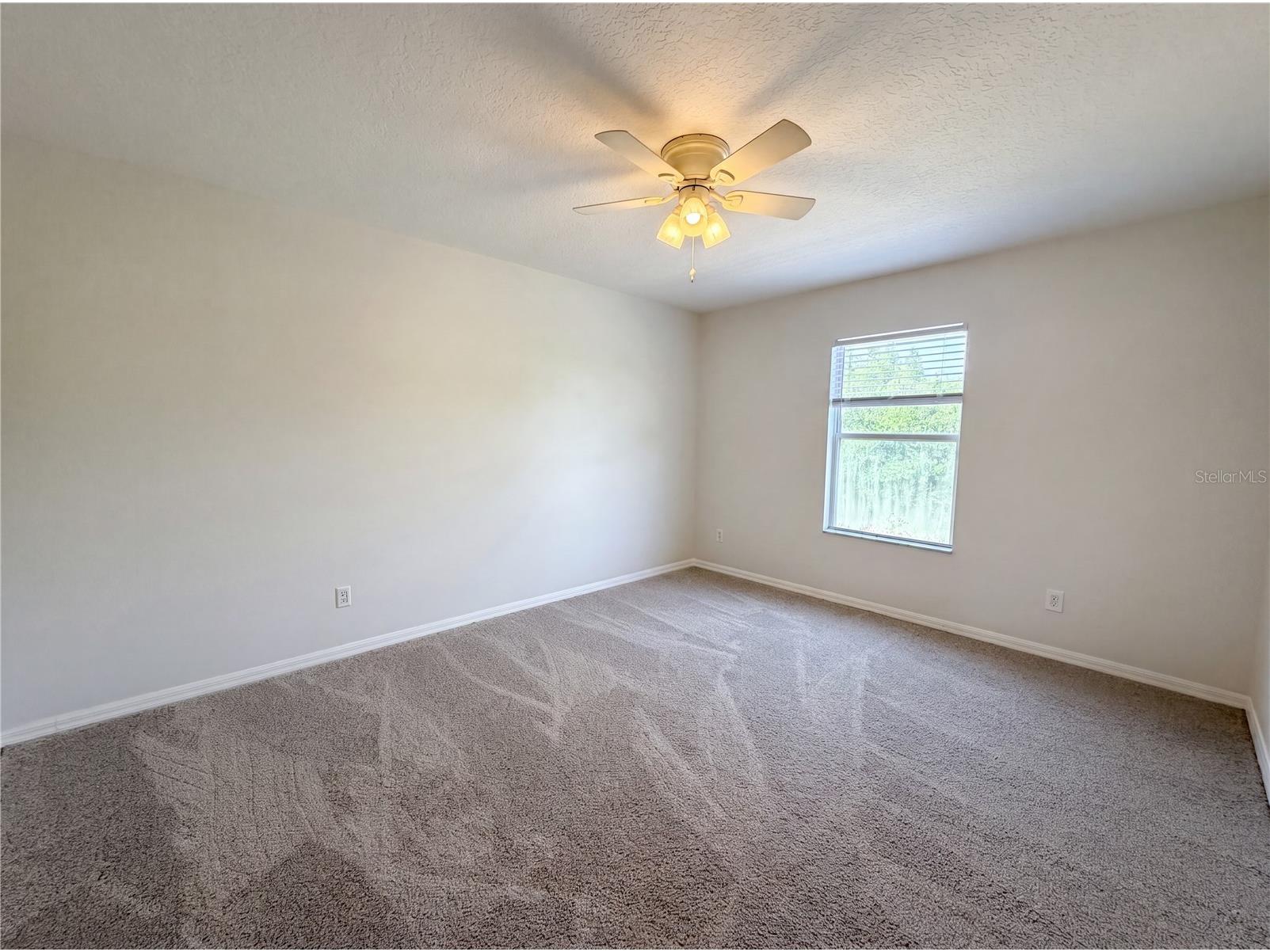 3518 Braemar Street Land O Lakes FL 34638 TB8517827 image15