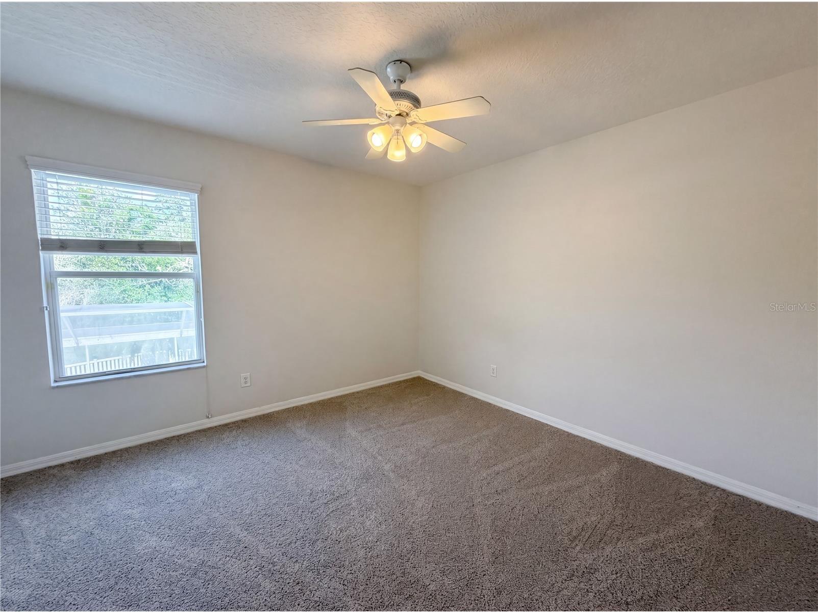 3518 Braemar Street Land O Lakes FL 34638 TB8517827 image17