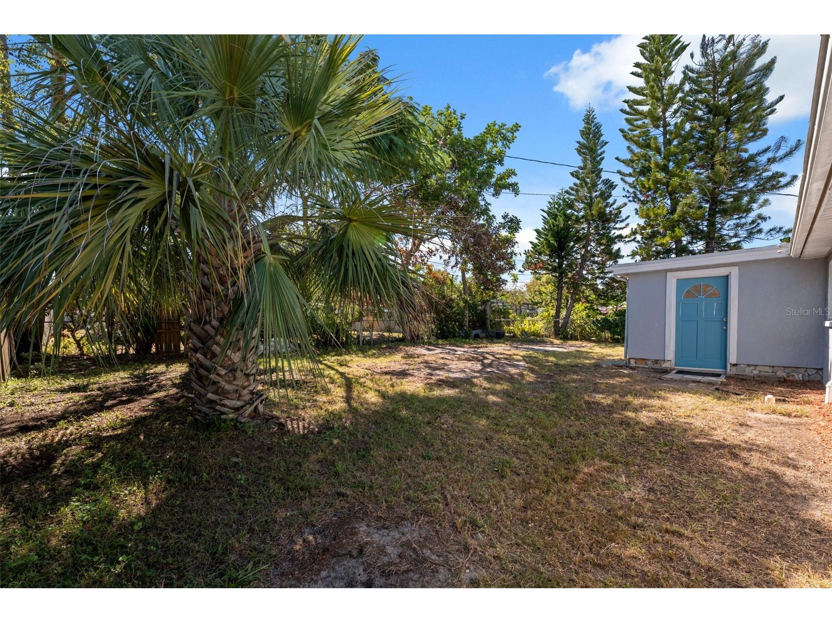 3518 Emory Drive Holiday FL 34691 TB8444920 image25