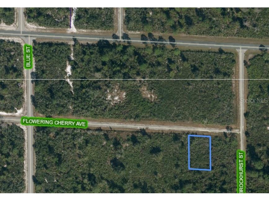 3518 Flowering Cherry Avenue Lake Placid FL 33852 C7474582 image1