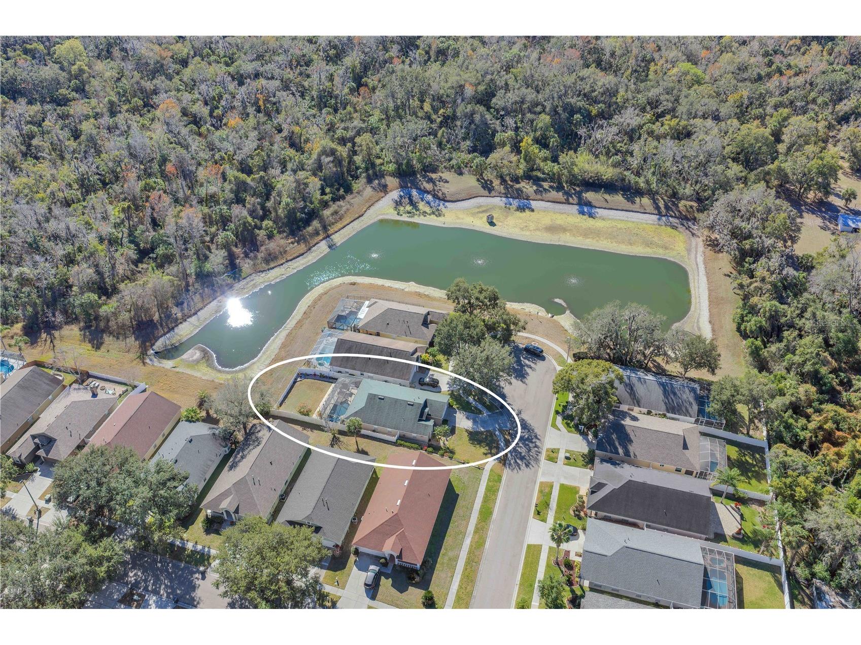 3518 Gray Whetstone Street Brandon FL 33511 TB8464817 image25