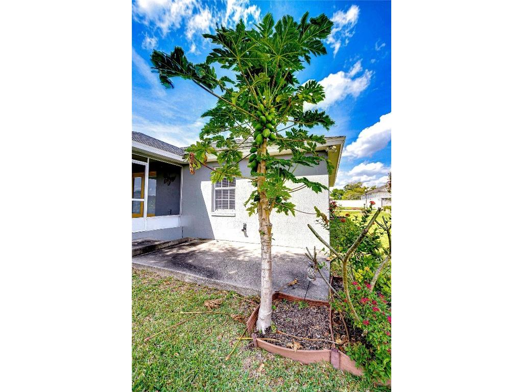 3518 Remington Oaks Way Lakeland FL 33810 TB8366592 image29