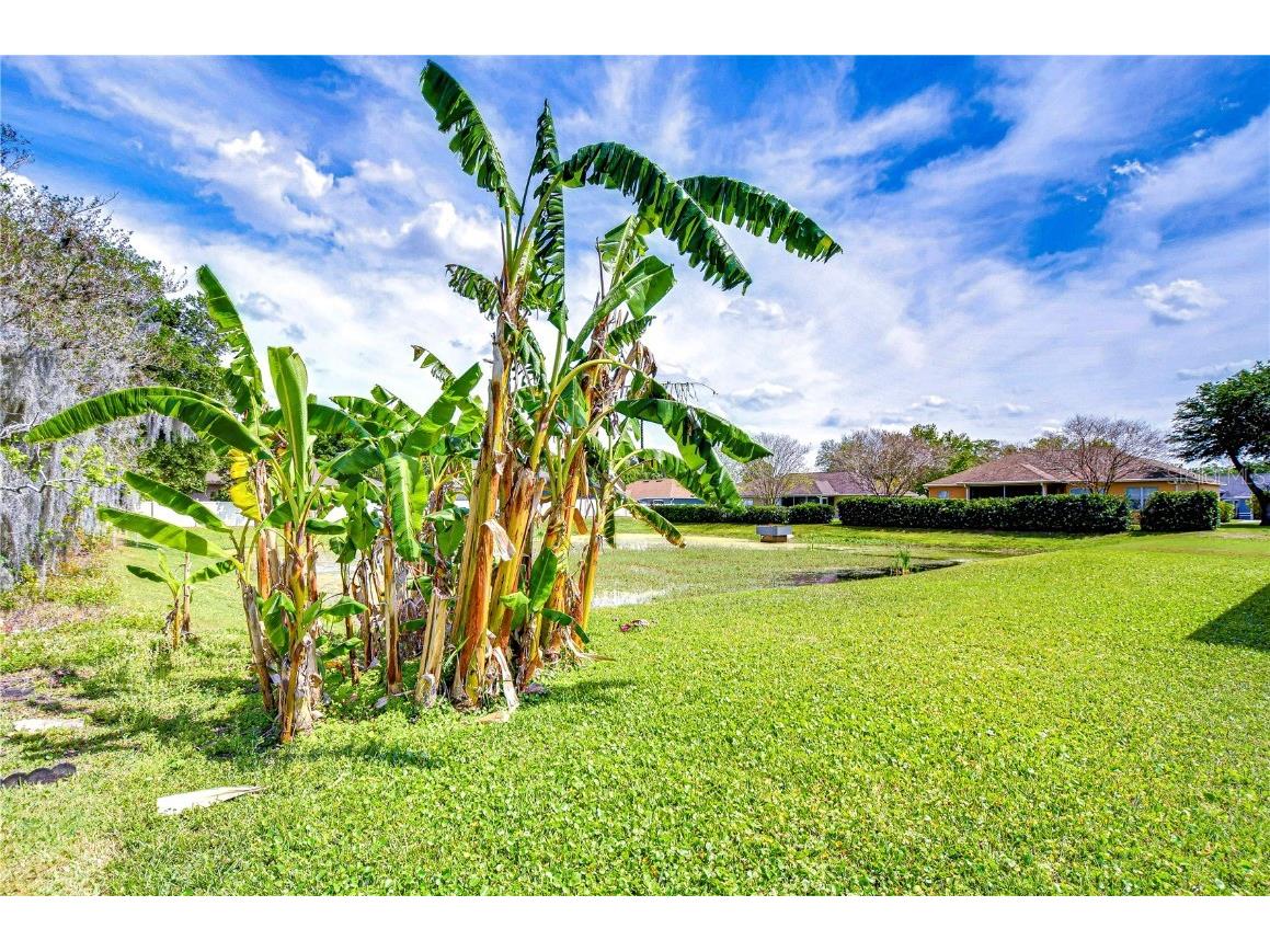 3518 Remington Oaks Way Lakeland FL 33810 TB8366592 image32